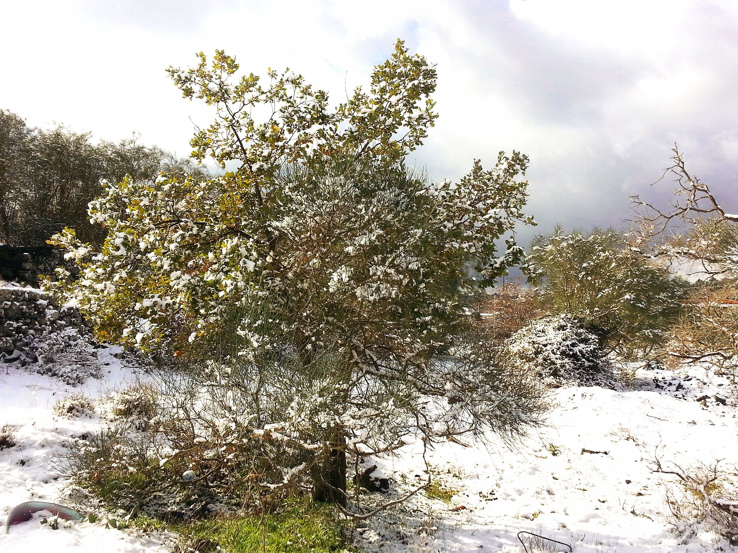 Ultimo dell'anno imbiancato - Etna