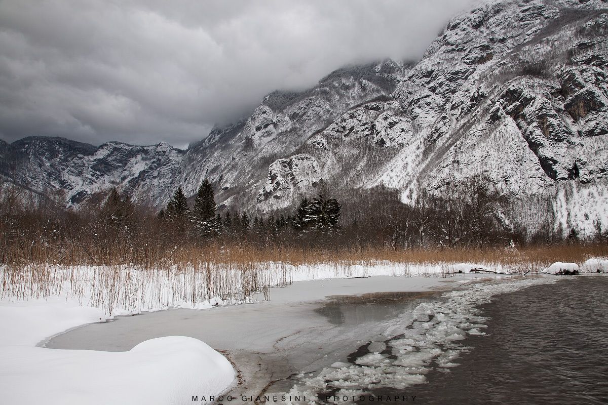 Lake Bohinj Slovenia