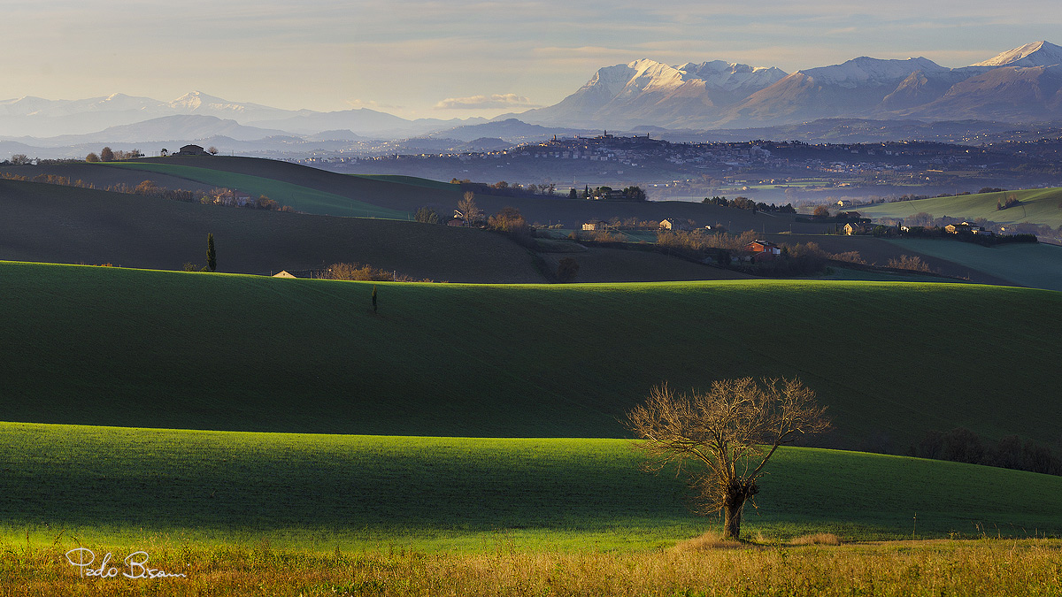 Le Marche