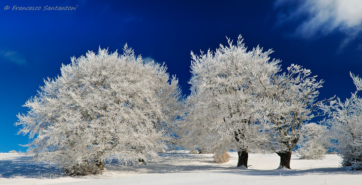 -18°C a Castelluccio