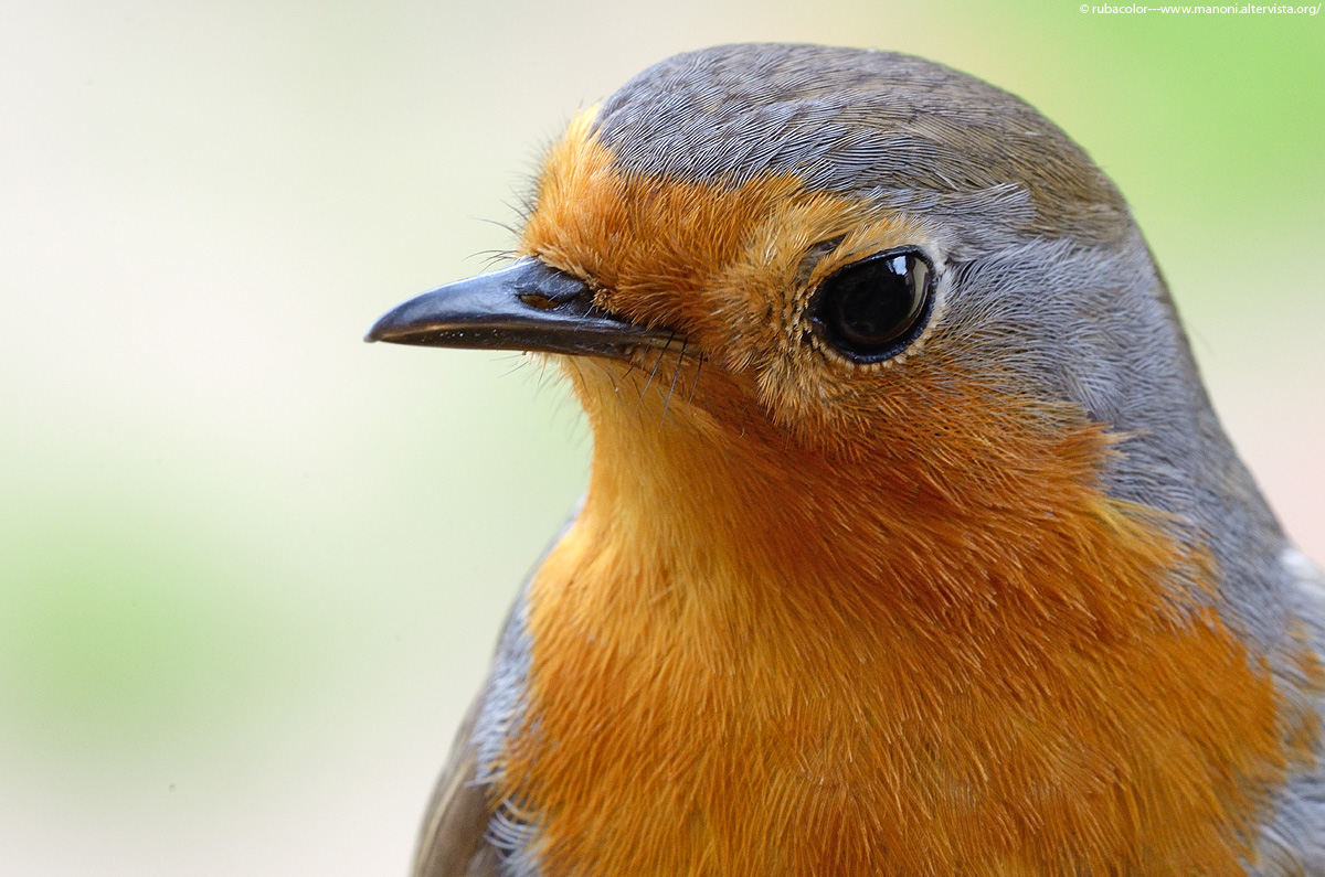 Uno sguardo di rimprovero