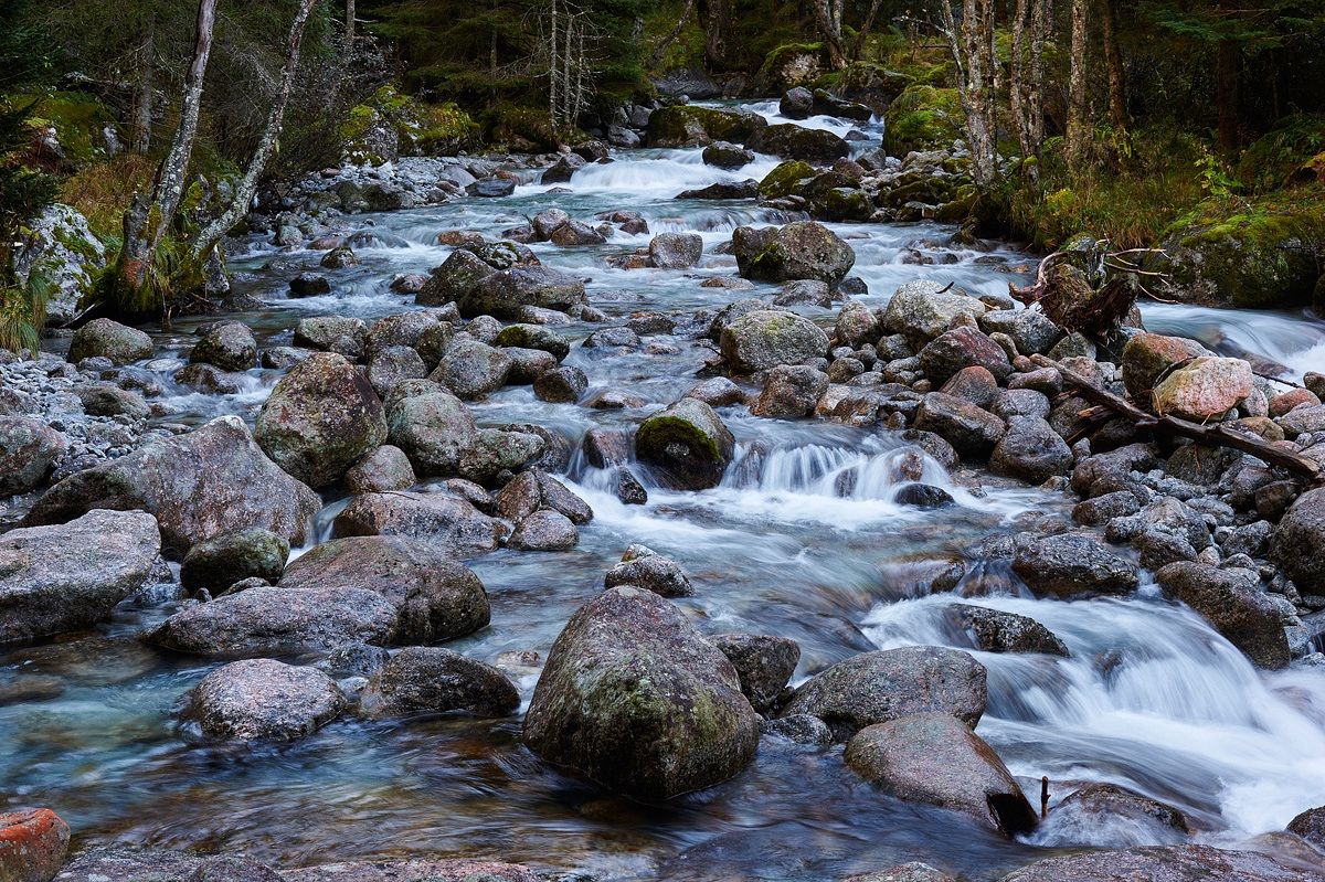 Torrente in Val di Mello