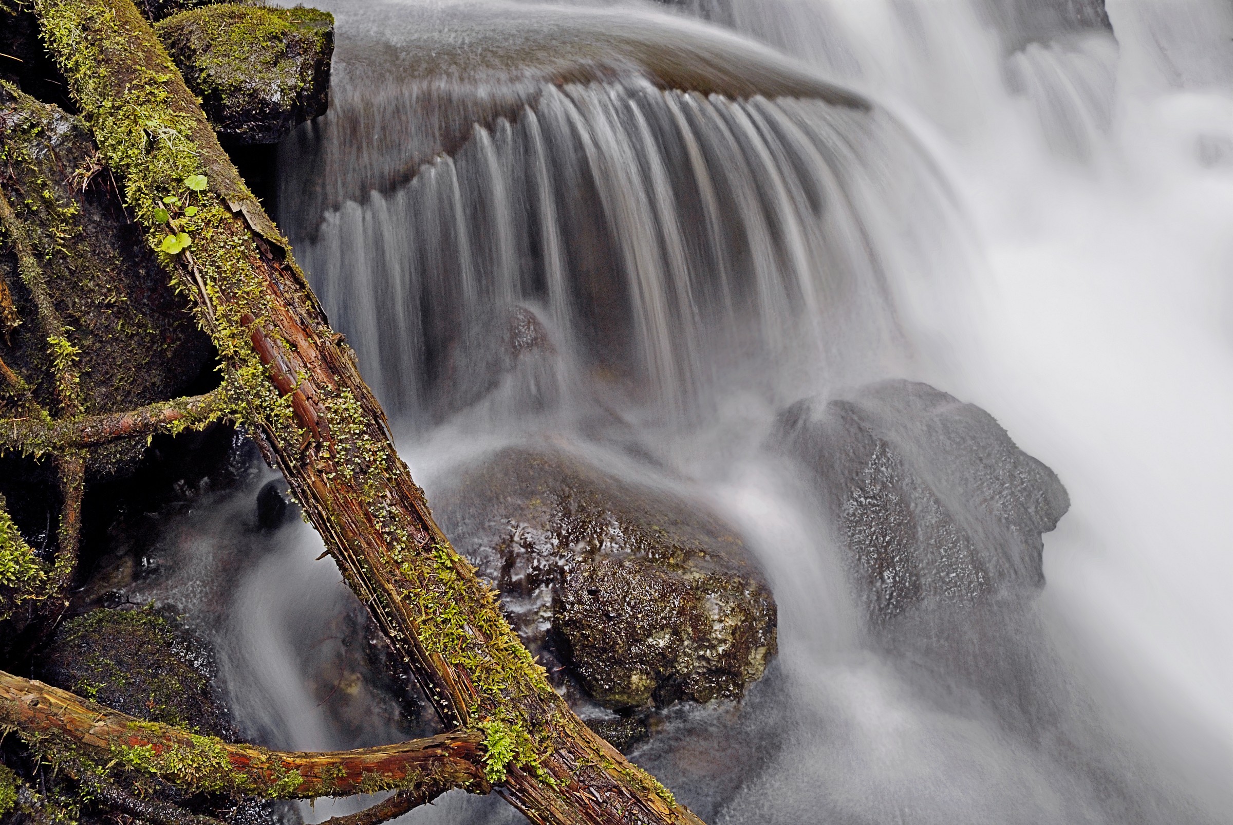 Lungo il ruscello - 1