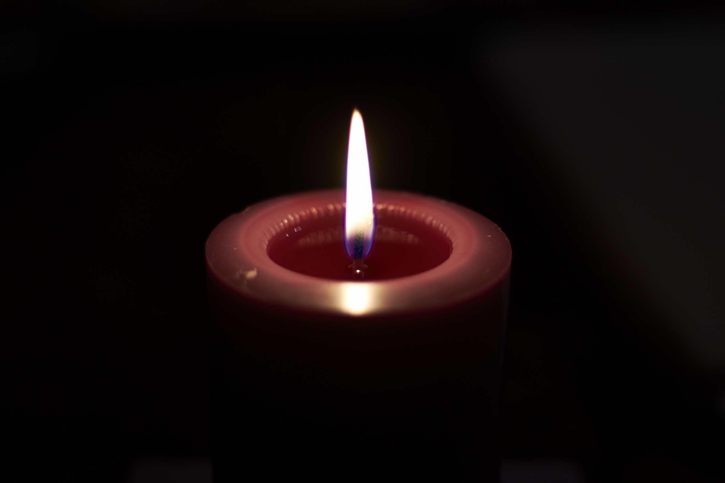 Candela, pentax A 50 f1,7