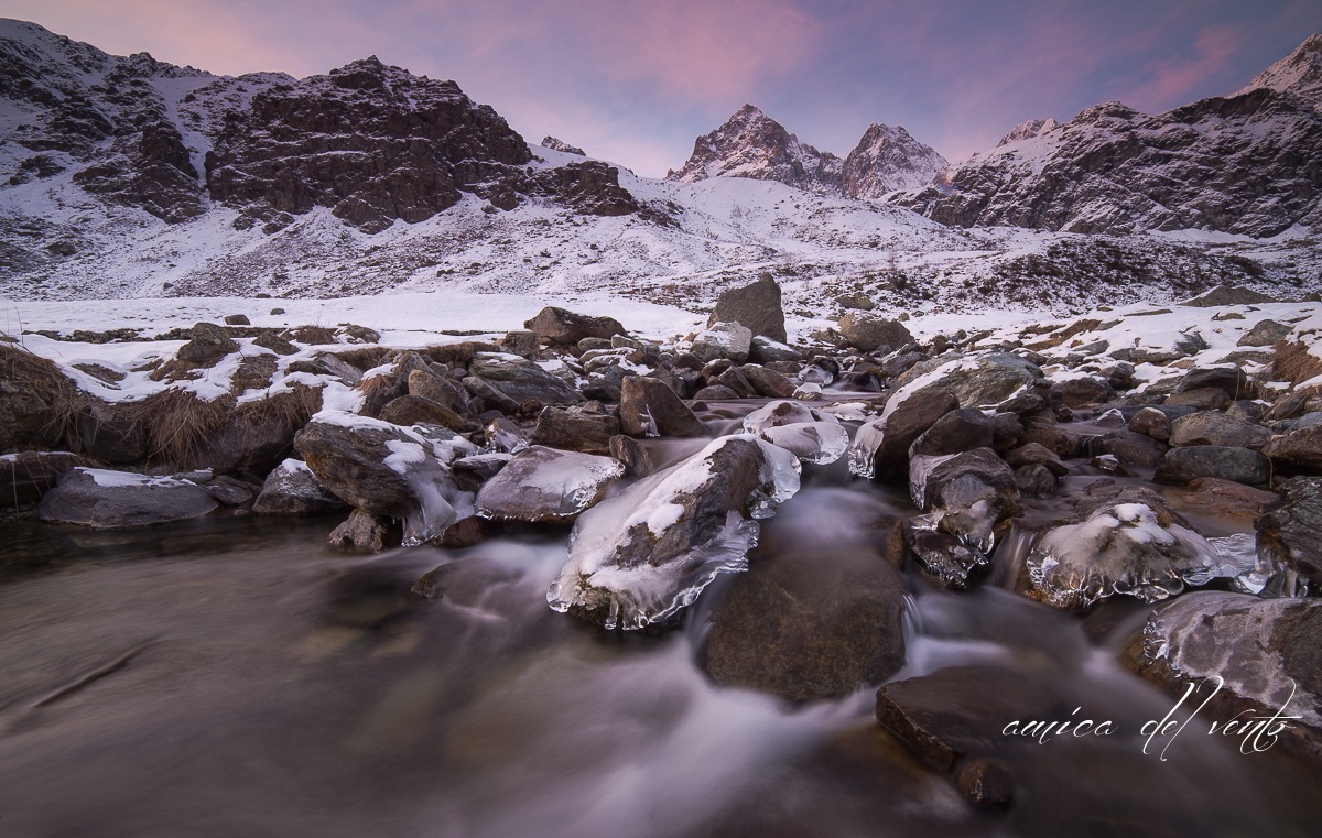 icy gaze to the king of rock