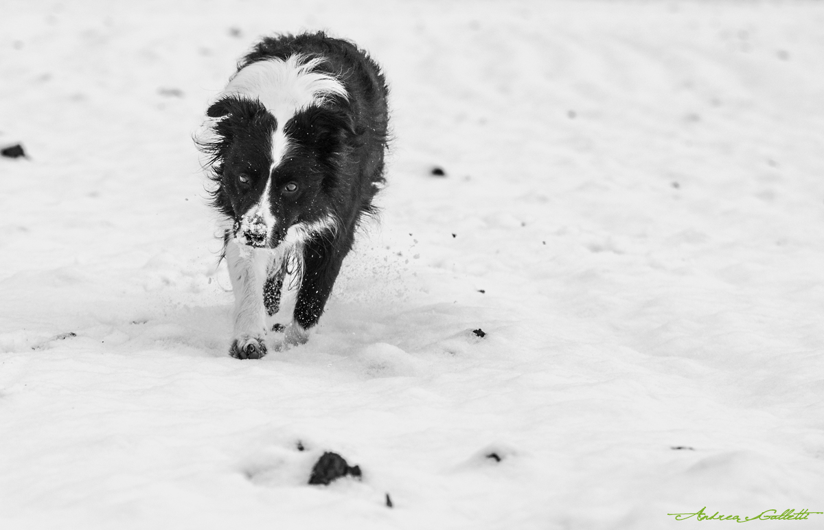 What are you looking for?