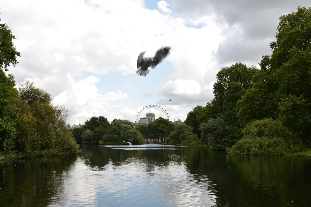 Vista della ruota panoramica