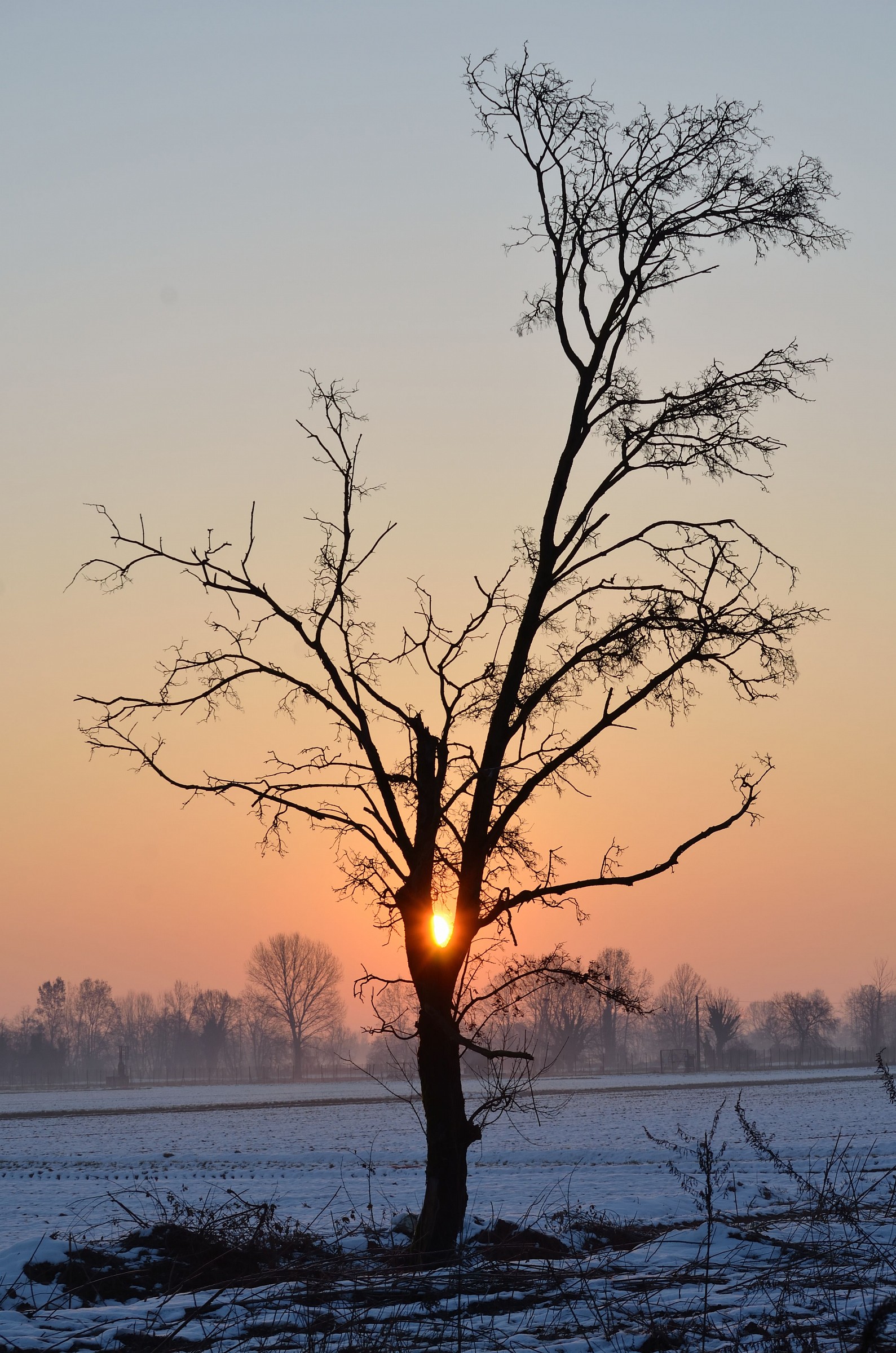 1 gennaio 2015  l'alba   €€€ auguroni &eu...