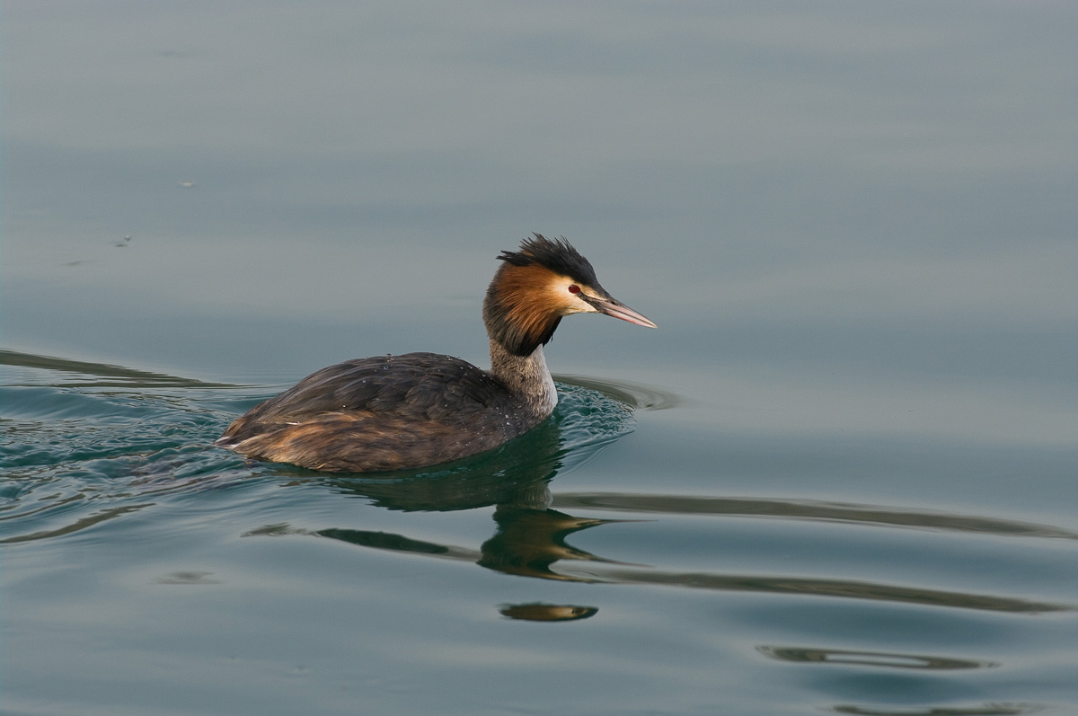 Svasso Maggiore Pentax K20d pentax 300
