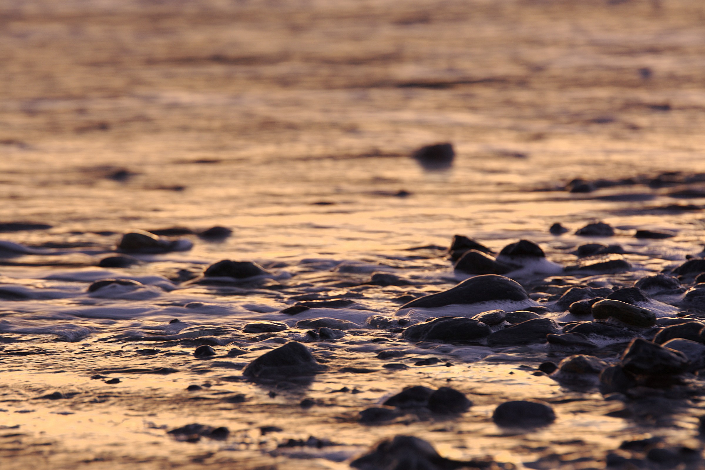 Riflessi sulla battigia