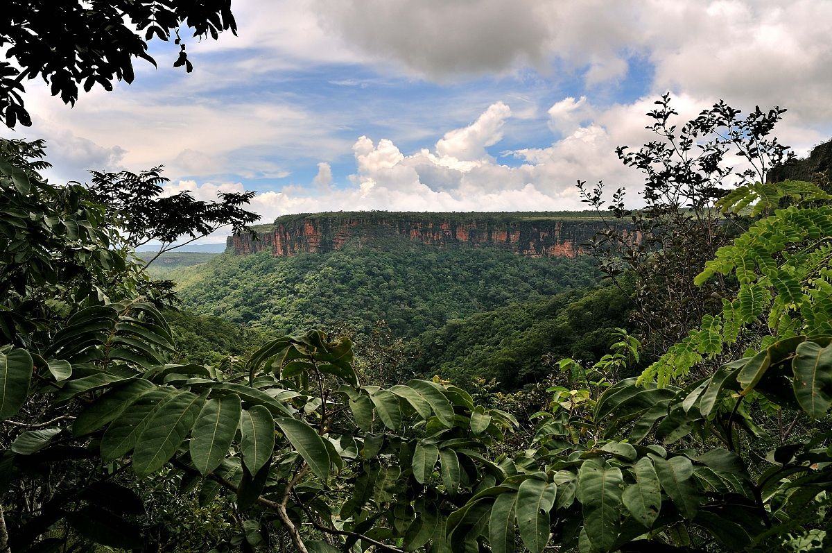 Chapada dos Guimaraes MT Brasile