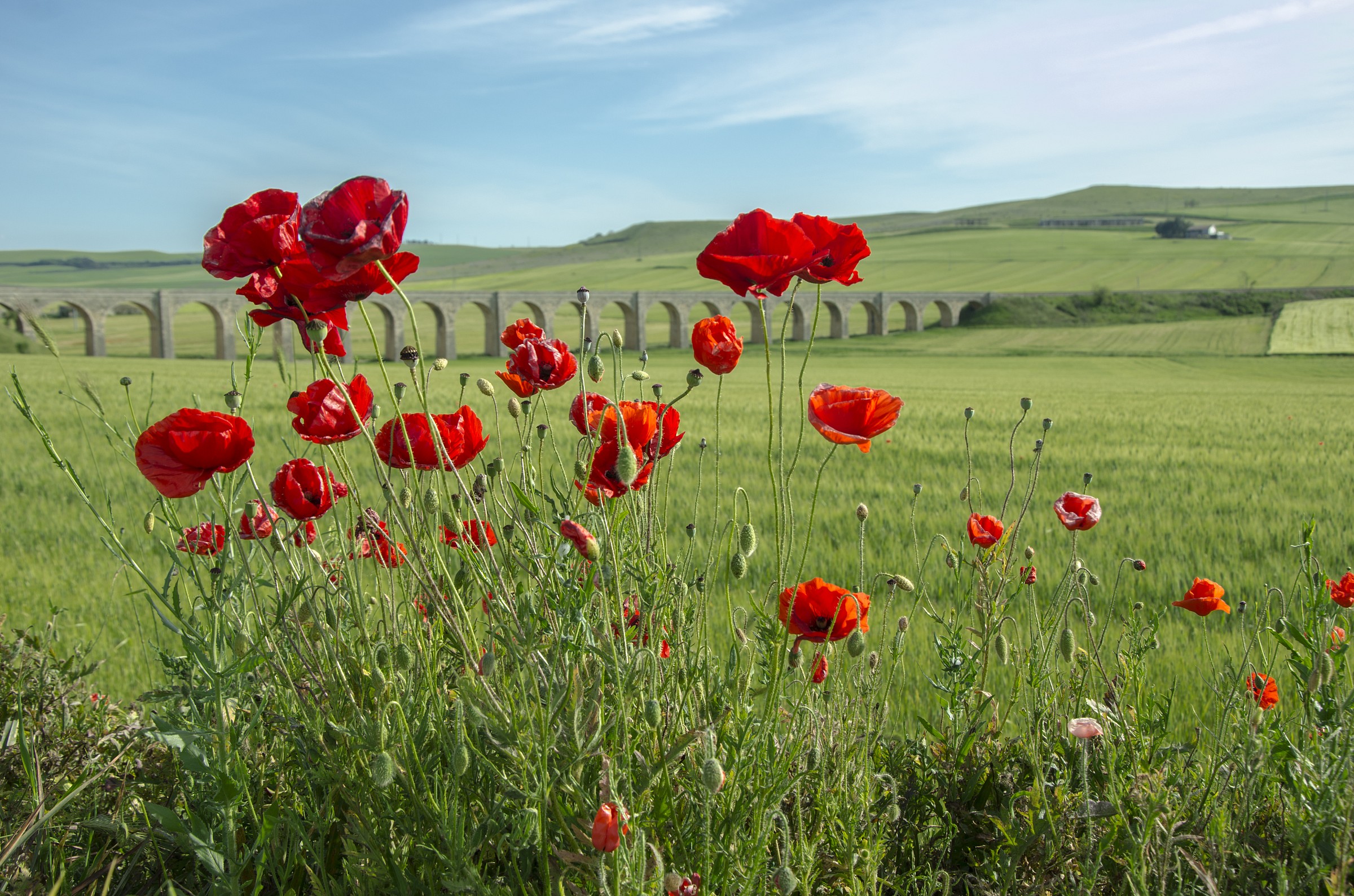 Ponte 21 archi - Spinazzola