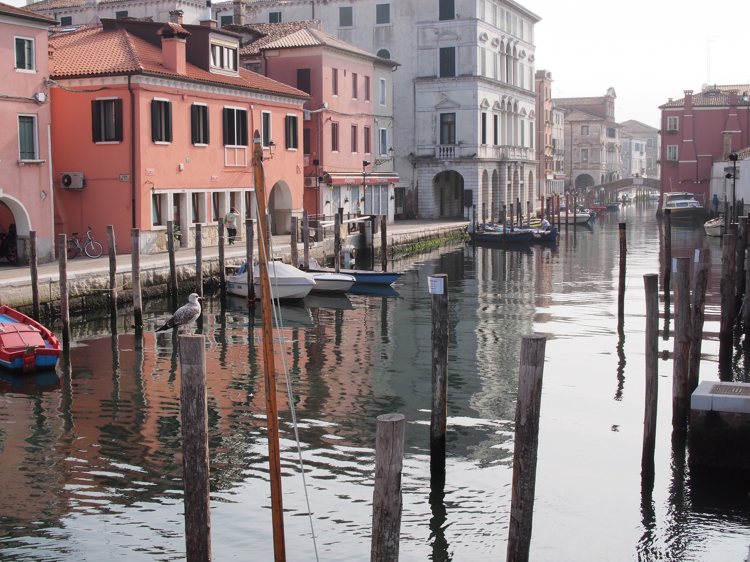 Chioggia