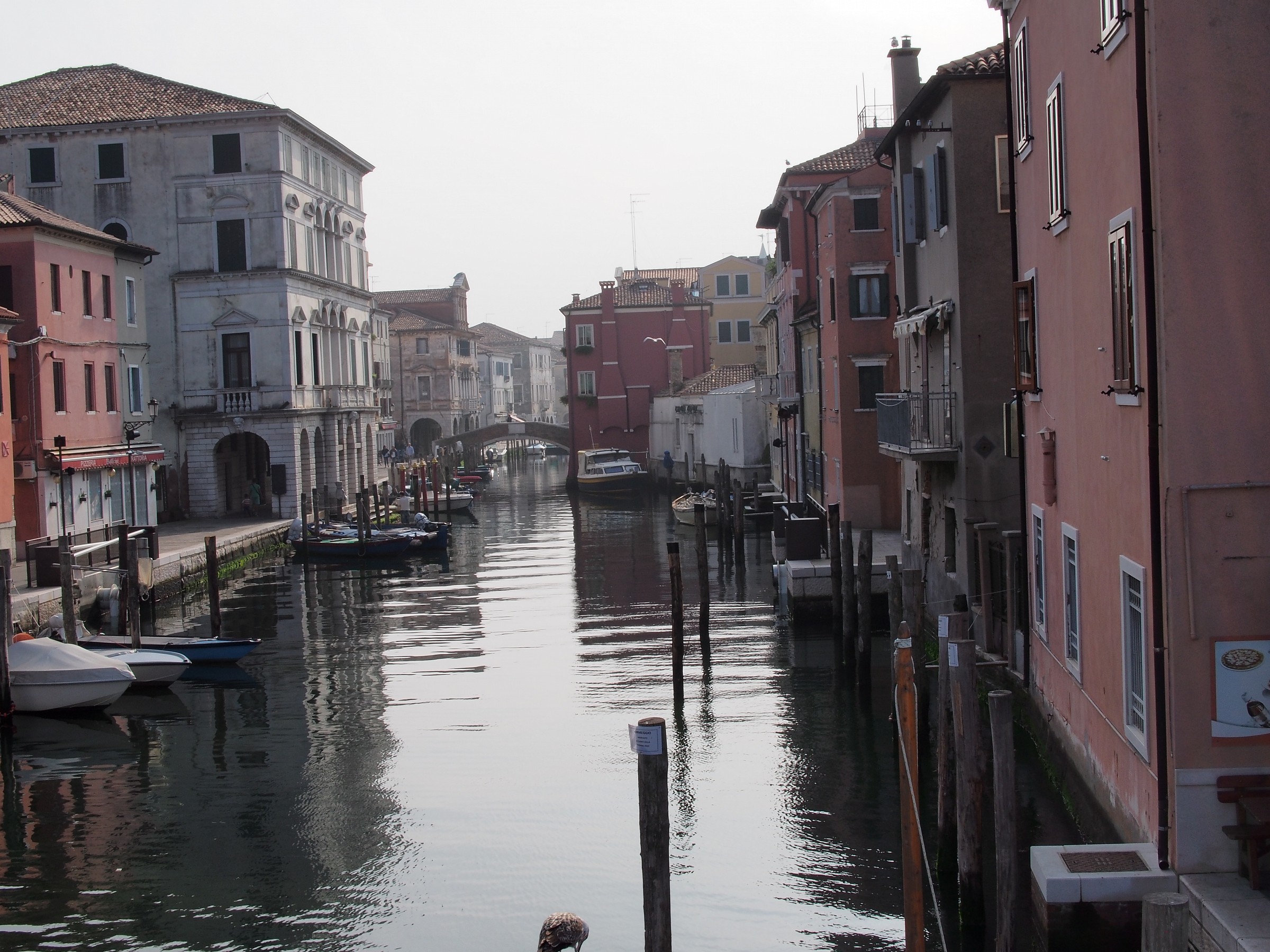 Chioggia