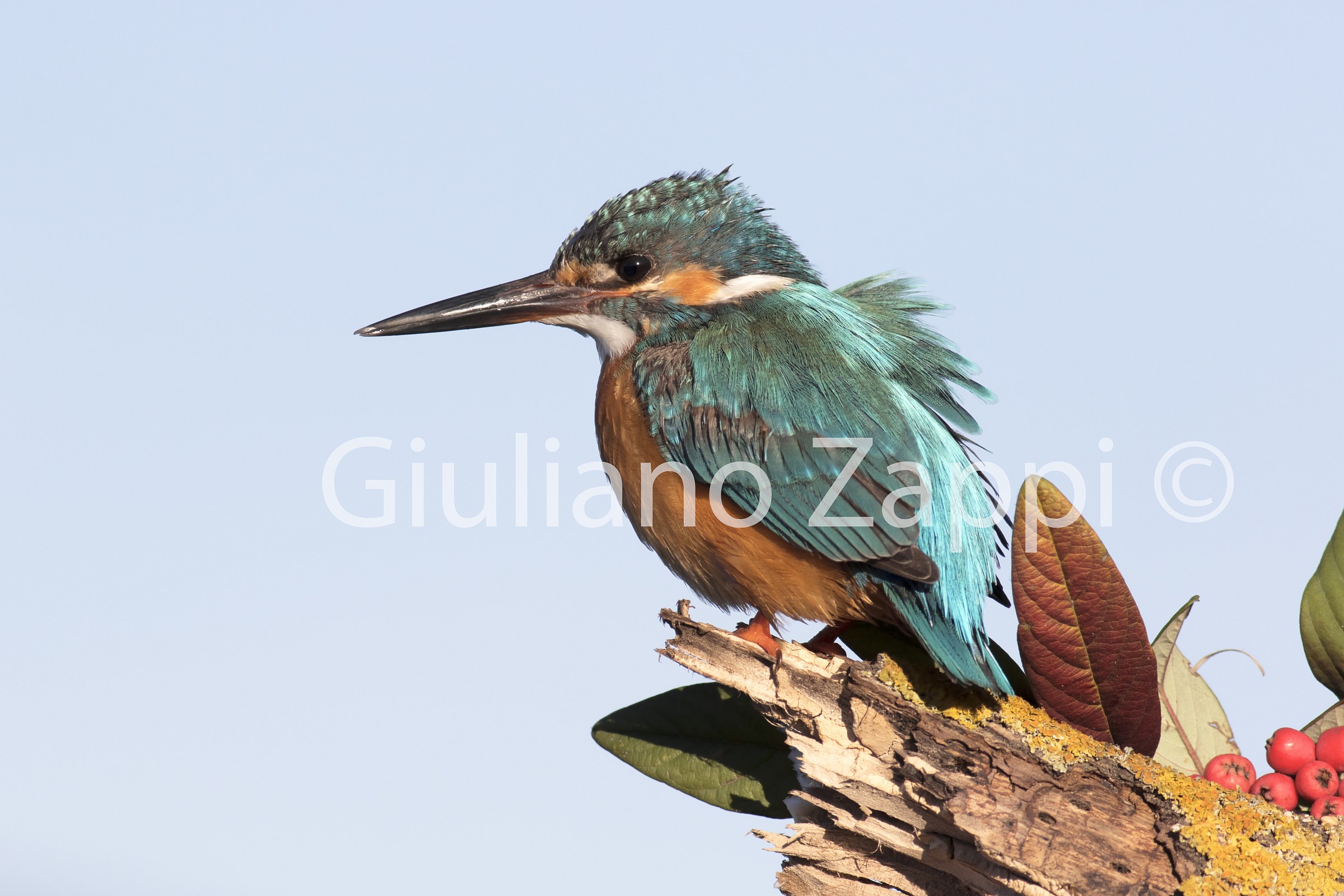 La prima tramontana sulla laguna