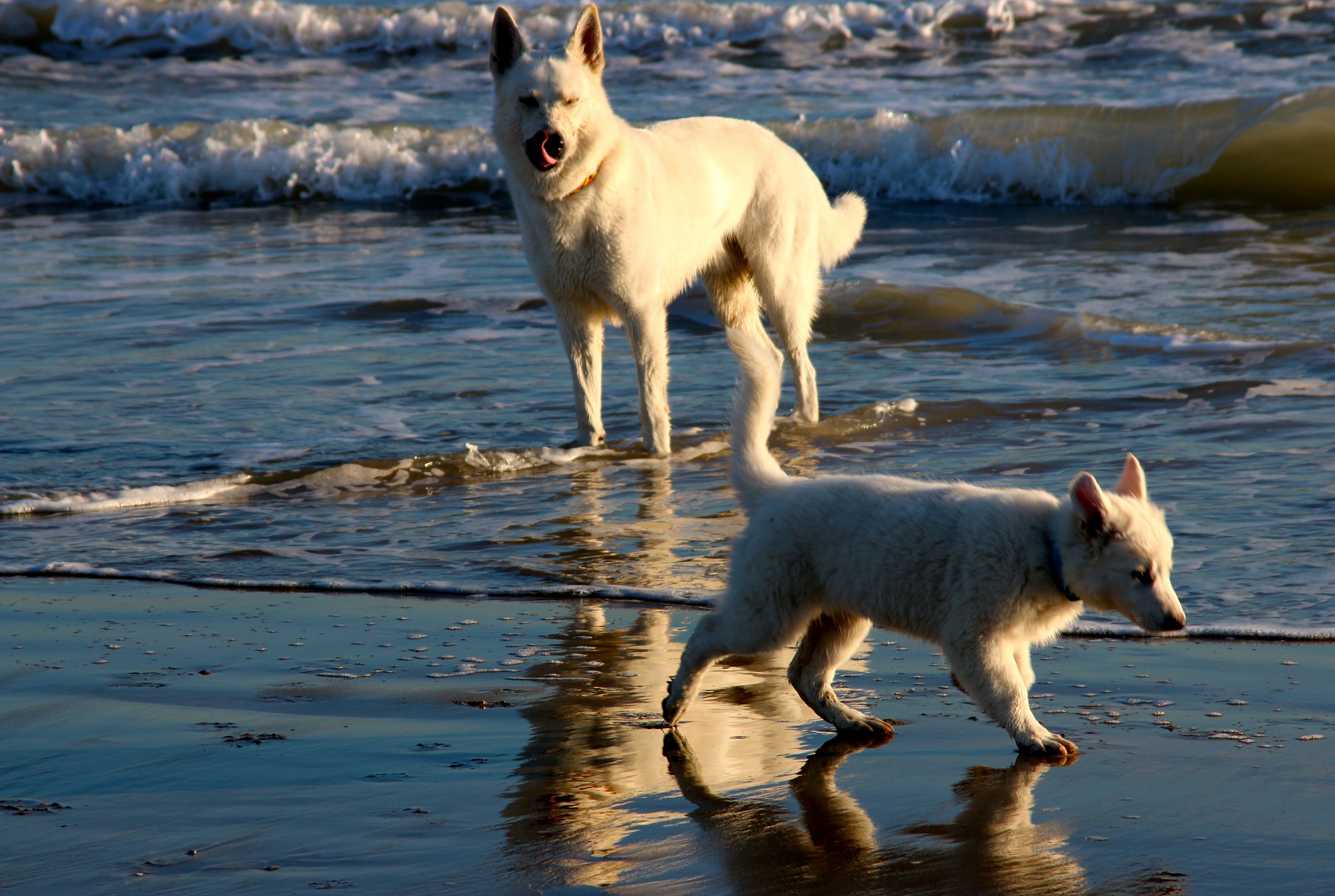 incontri in riva al mare