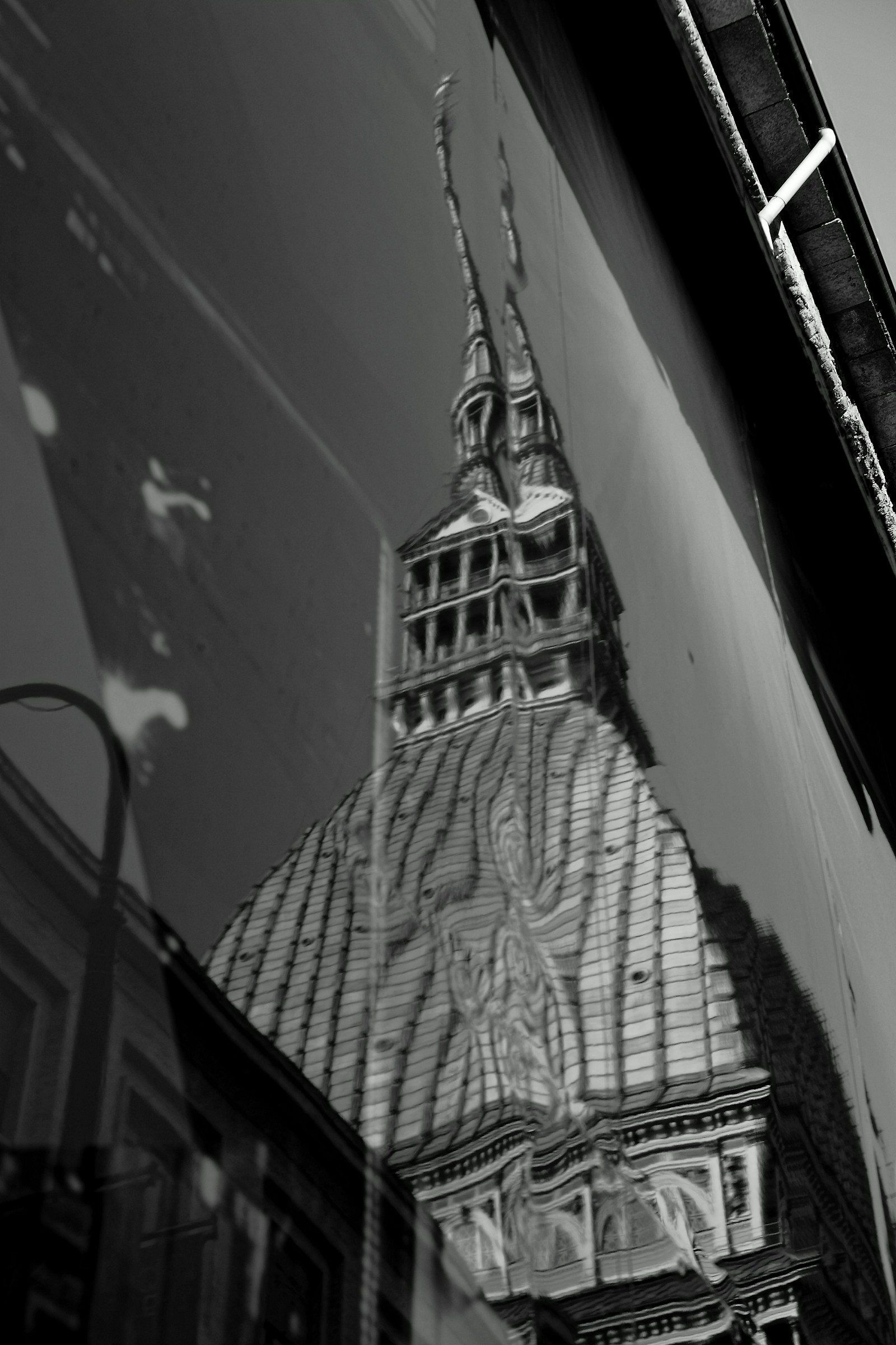 dovrò decidermi a spuntarmi le doppie punte