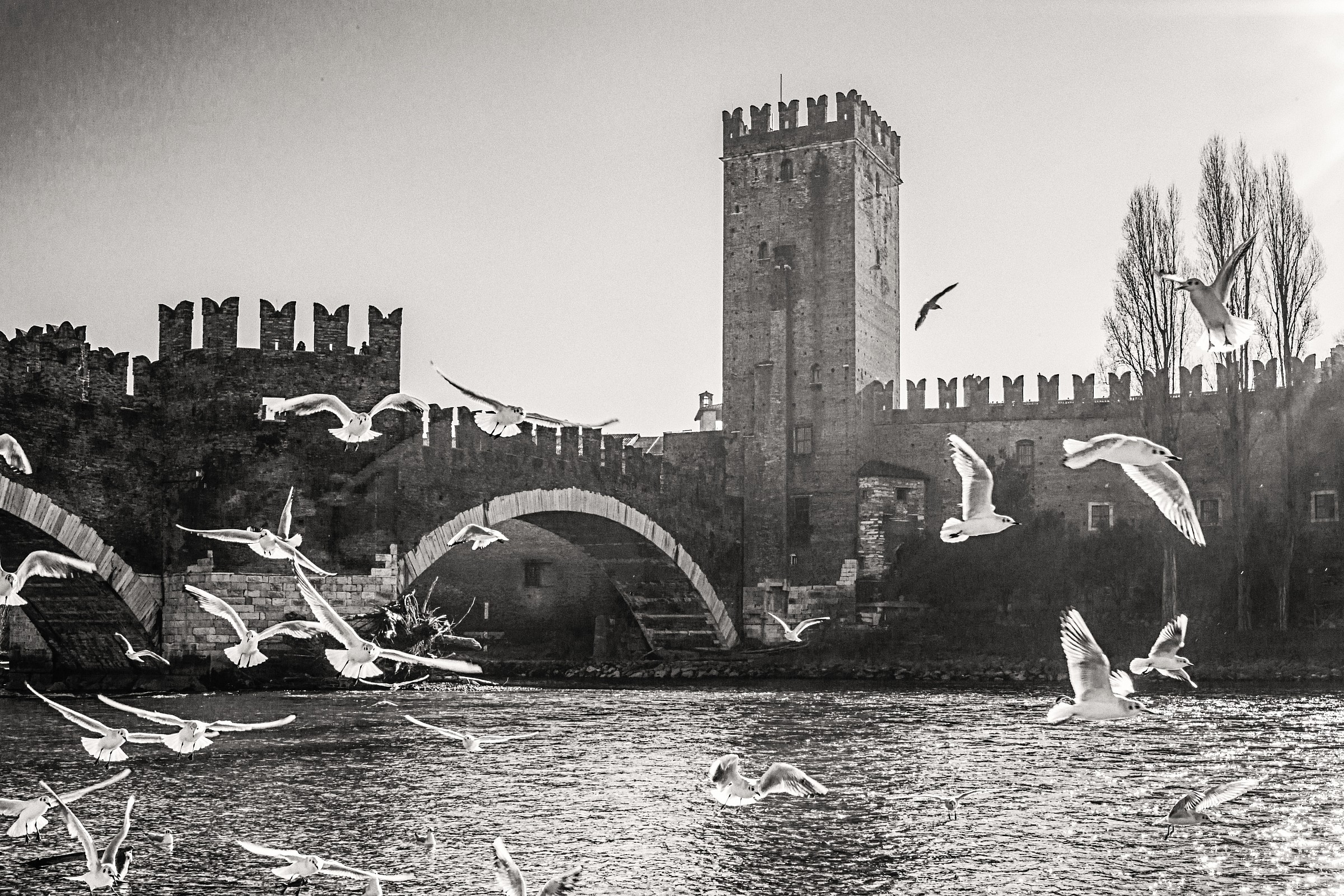 Castelvecchio Bridge