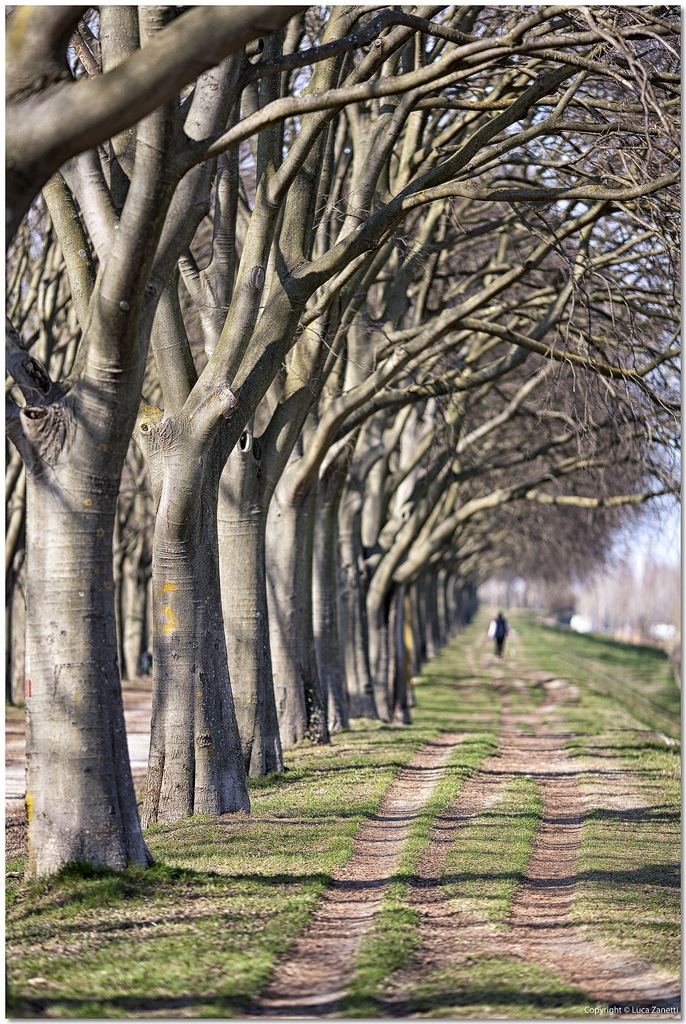 Sulla Mura di Ferrara