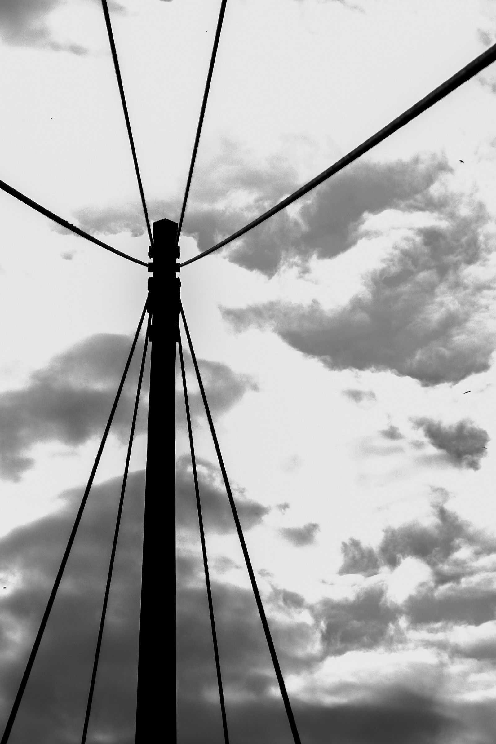 Silhouette between shadows of clouds (Lyon).