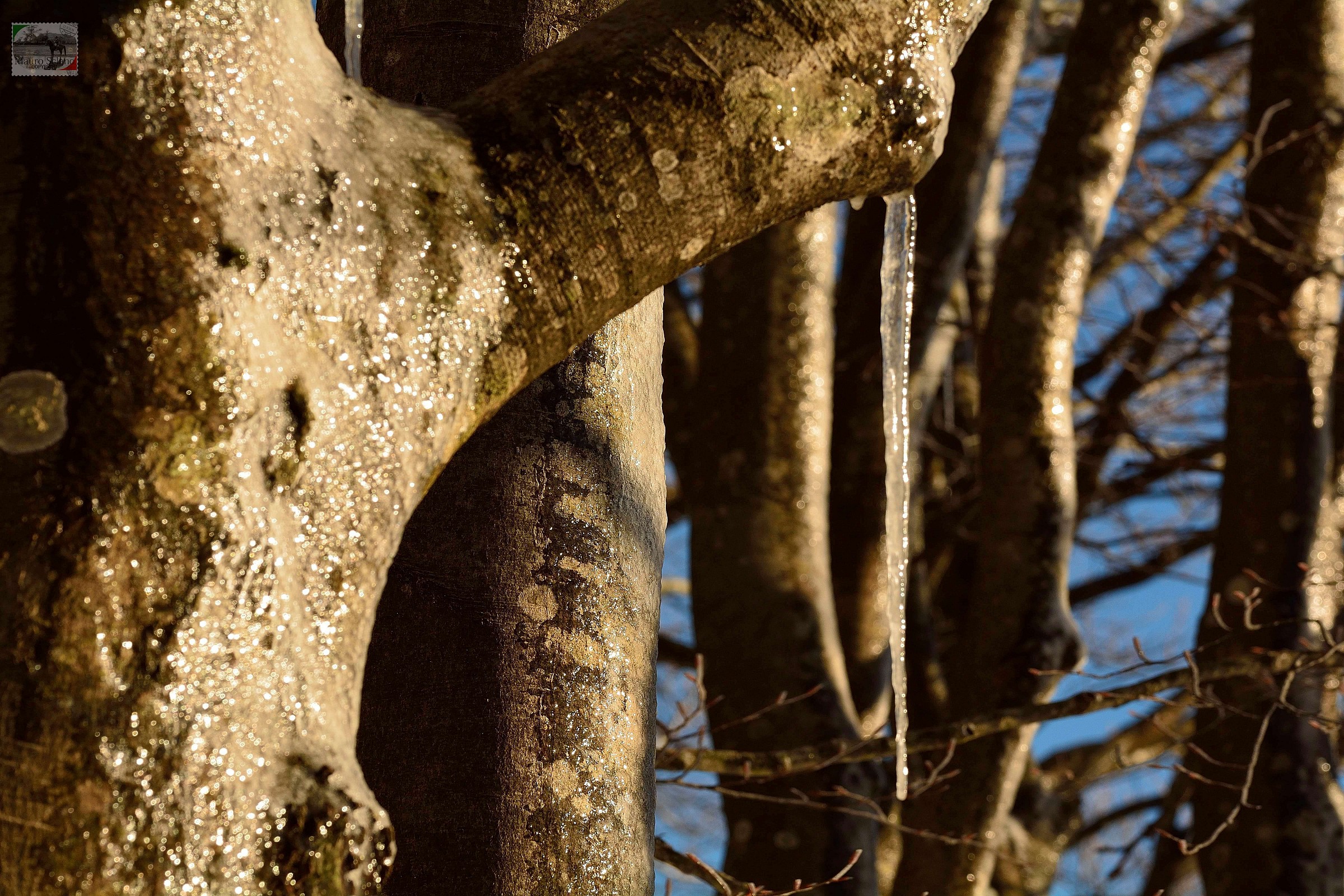 stalattiti di ghiaccio