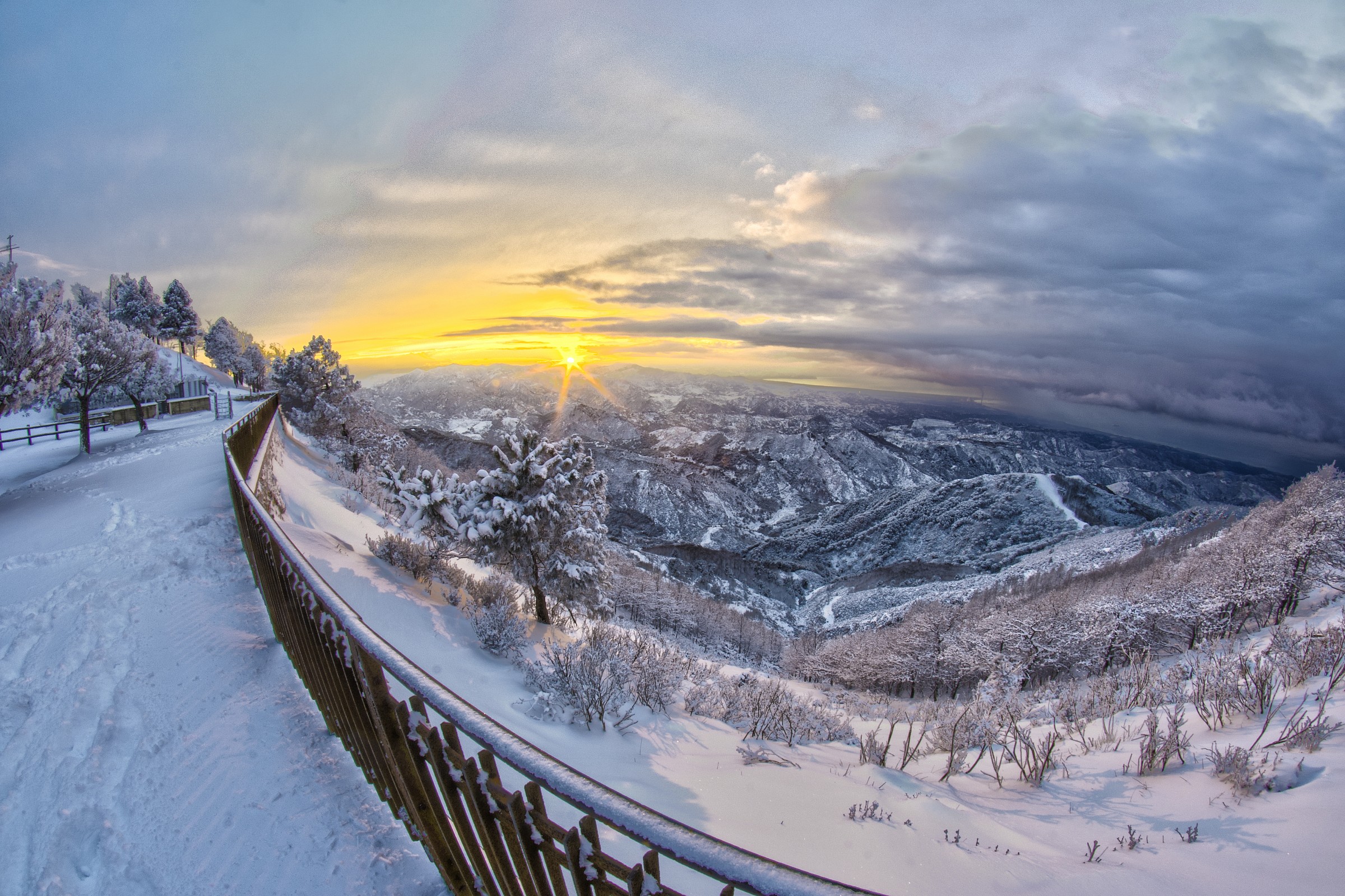 Dinnammare last year