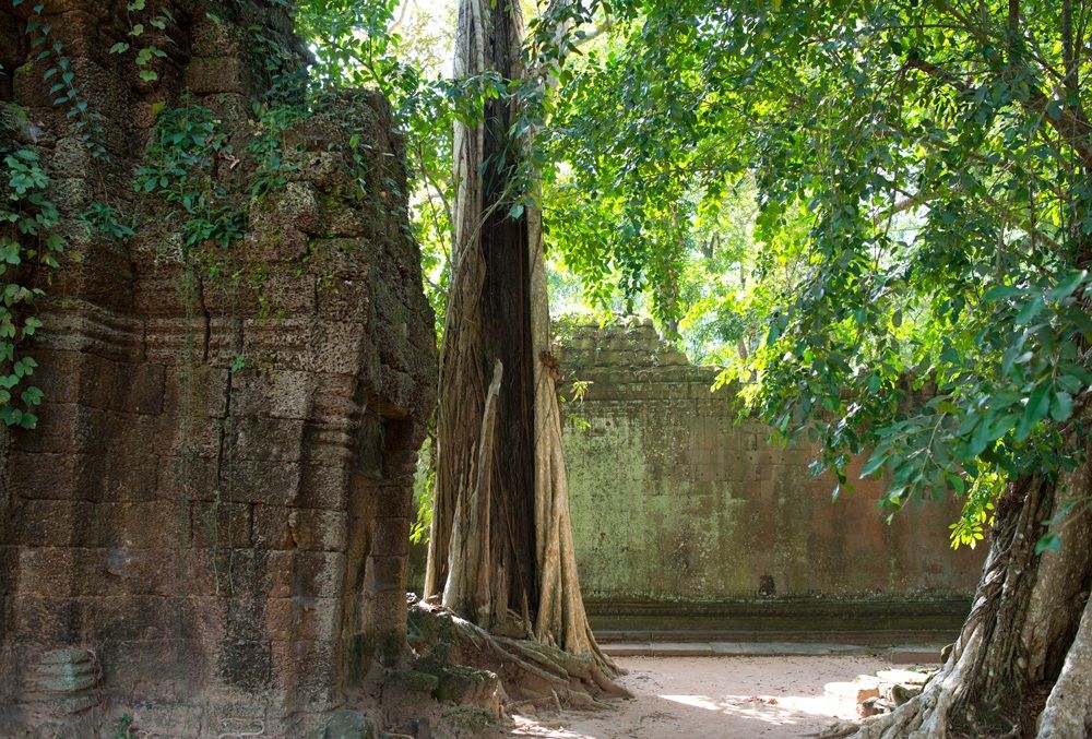 Ta Phrom