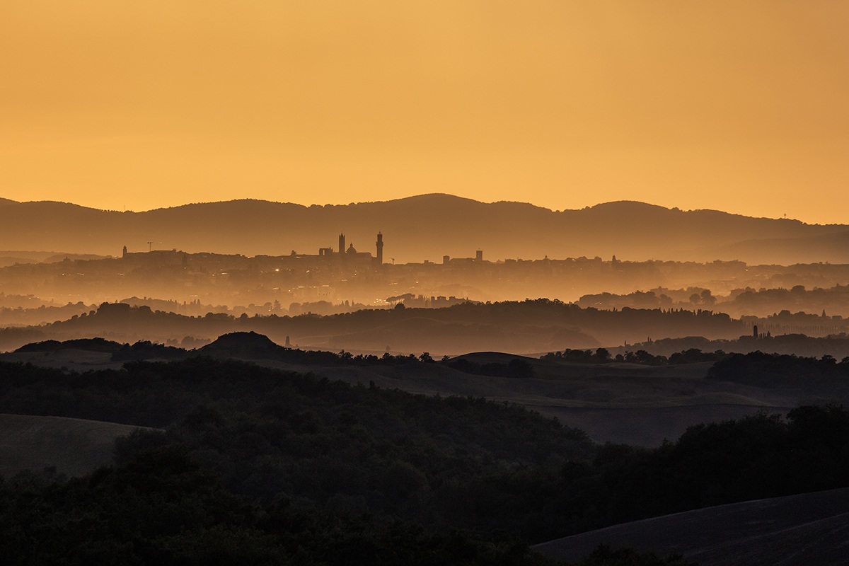 Panorama of Siena