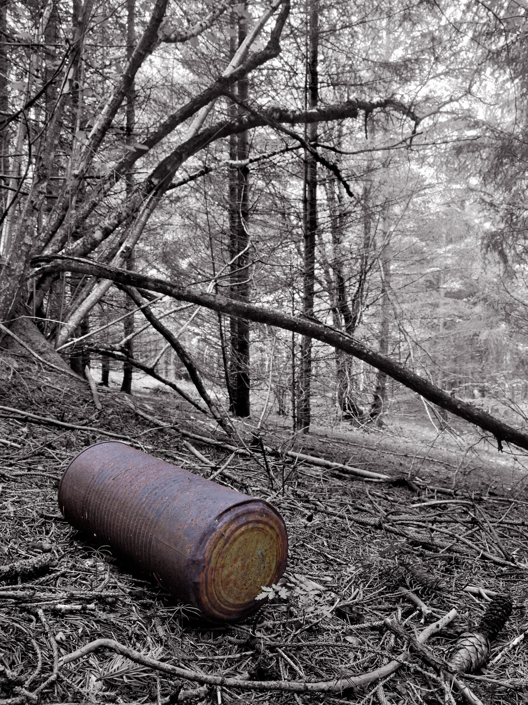 Una nota di colore... stonata!