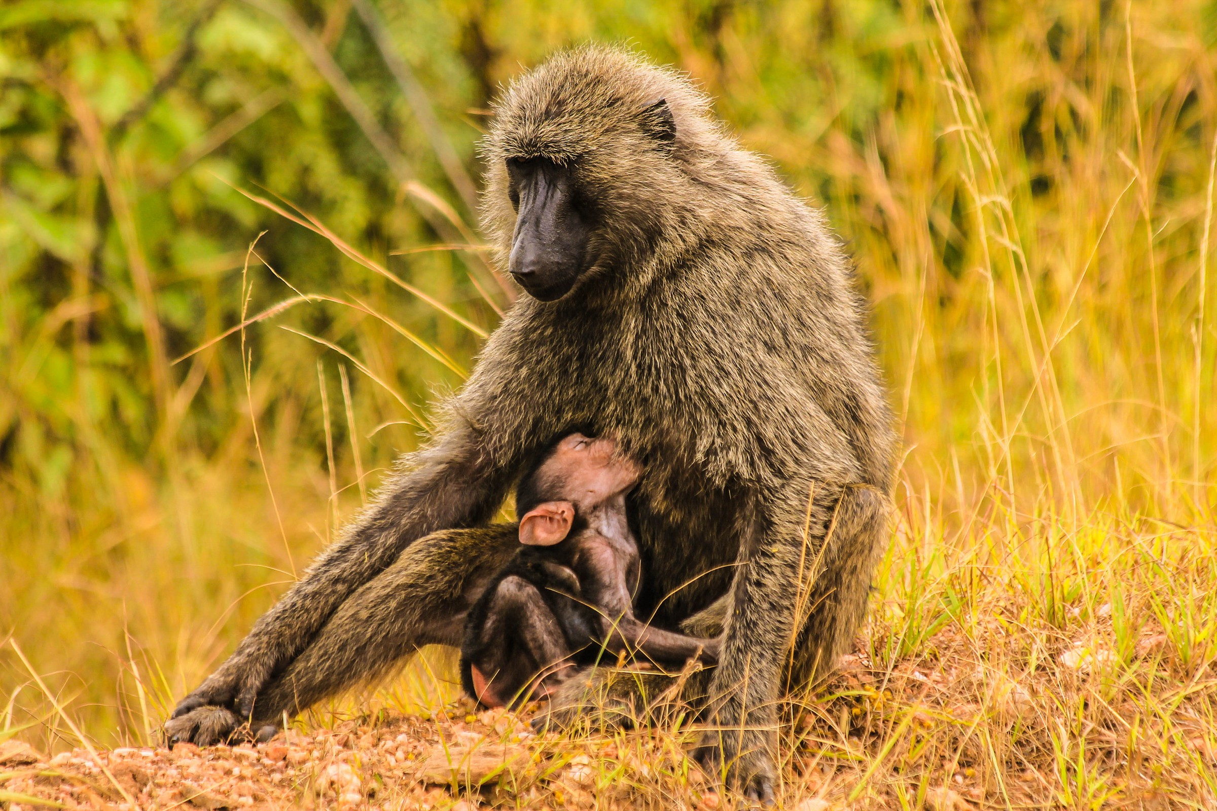 La mamma è sempre la mamma