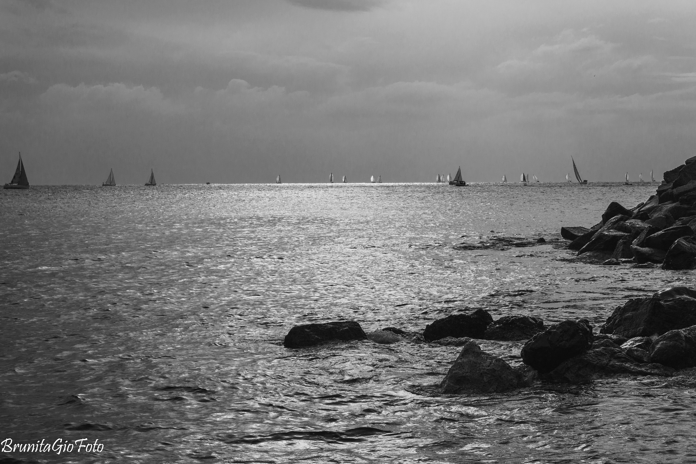 Regatta - Celle Ligure