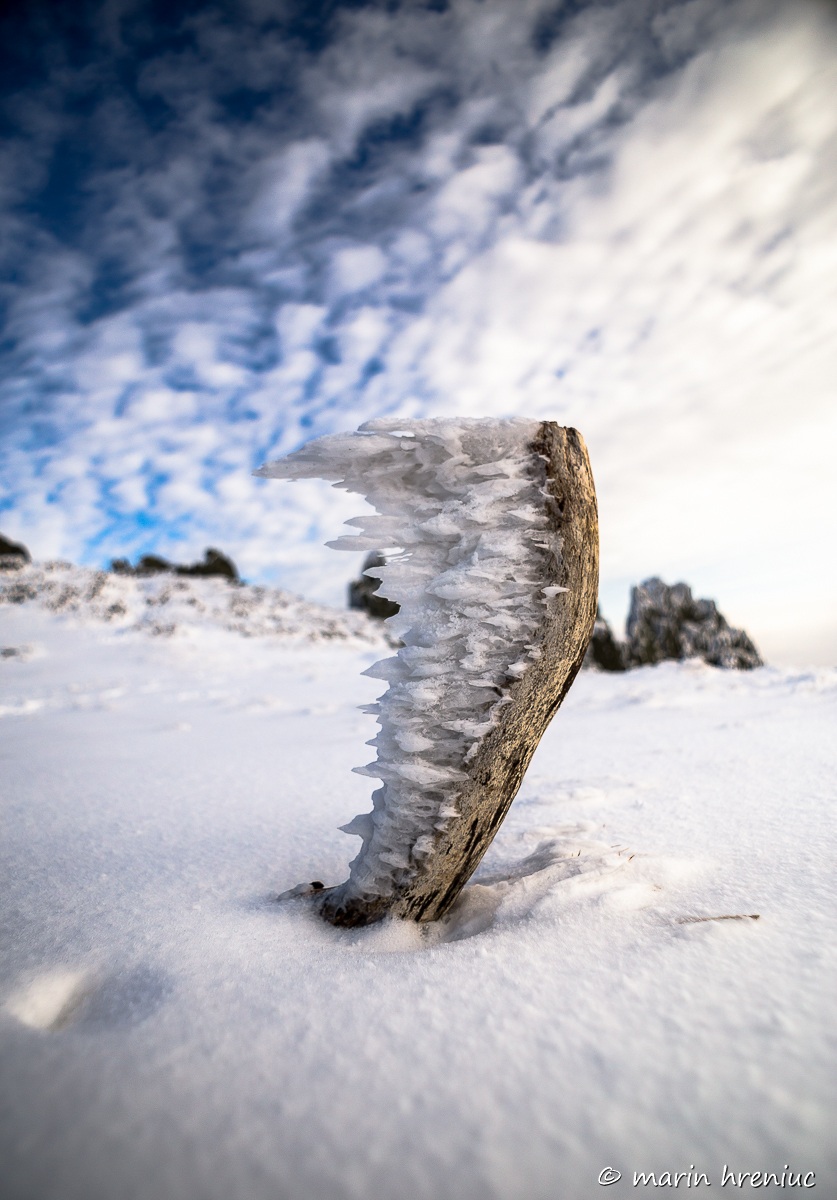 la cima del Maramures