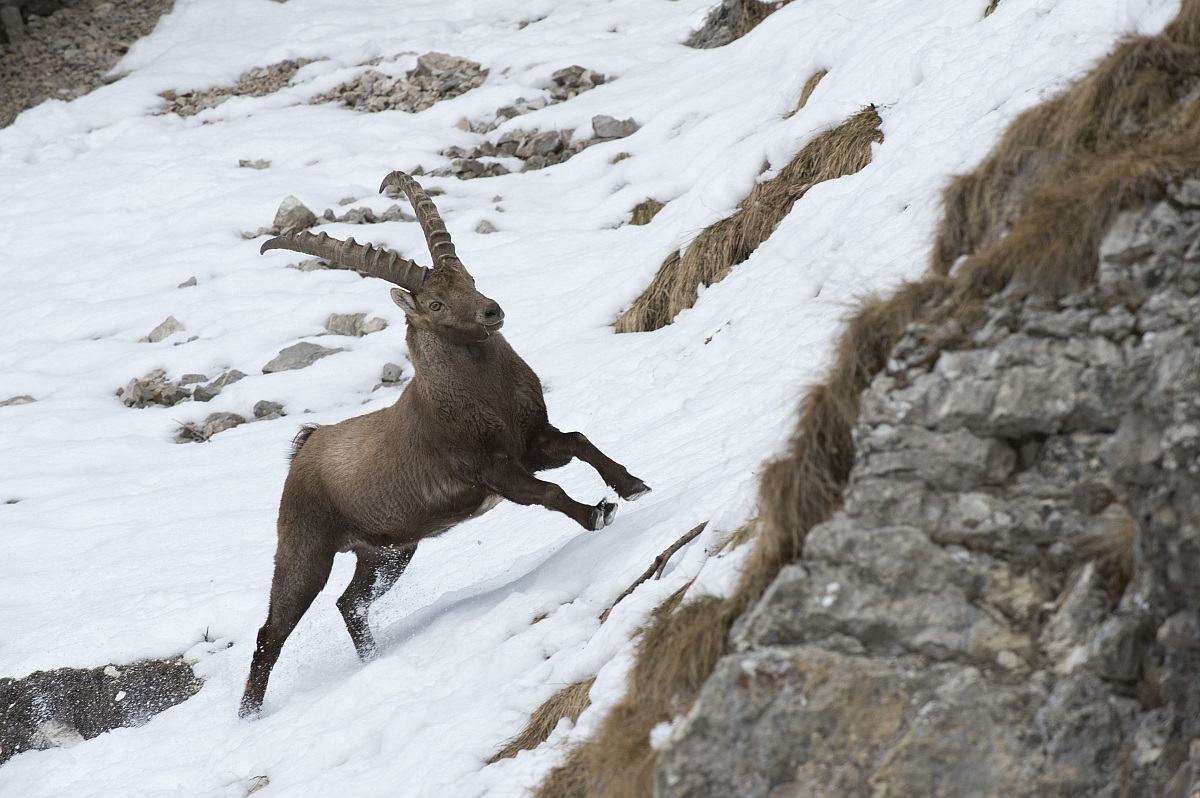 Di corsa verso l'amore