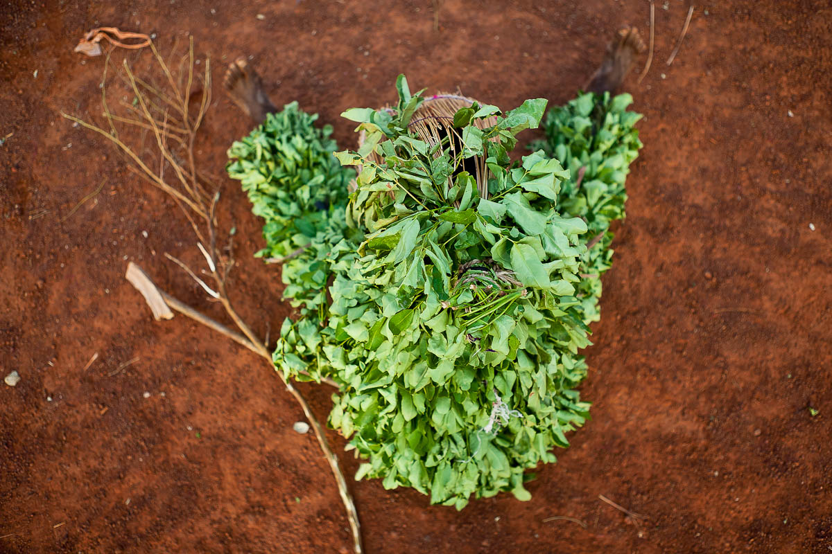 fesival delle maschere in burkina faso