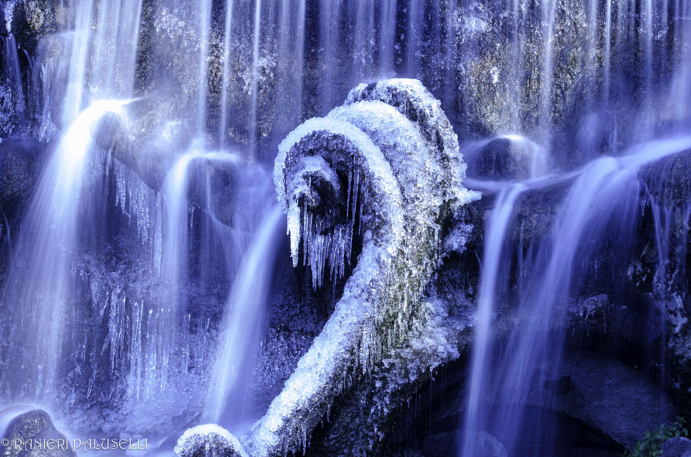 musical key iced (fountain to 12 months)