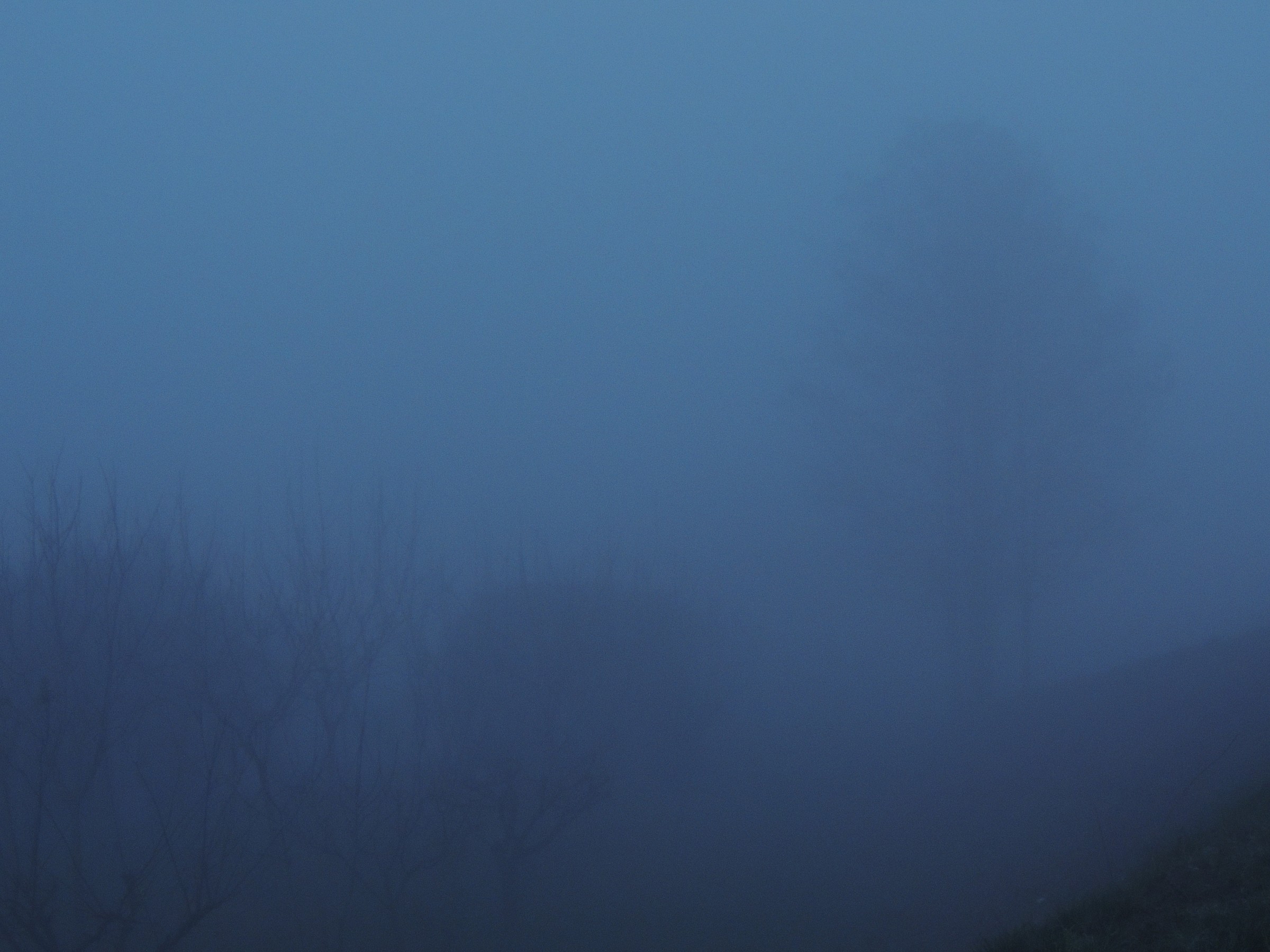ORA BLU della nebbia   no PP