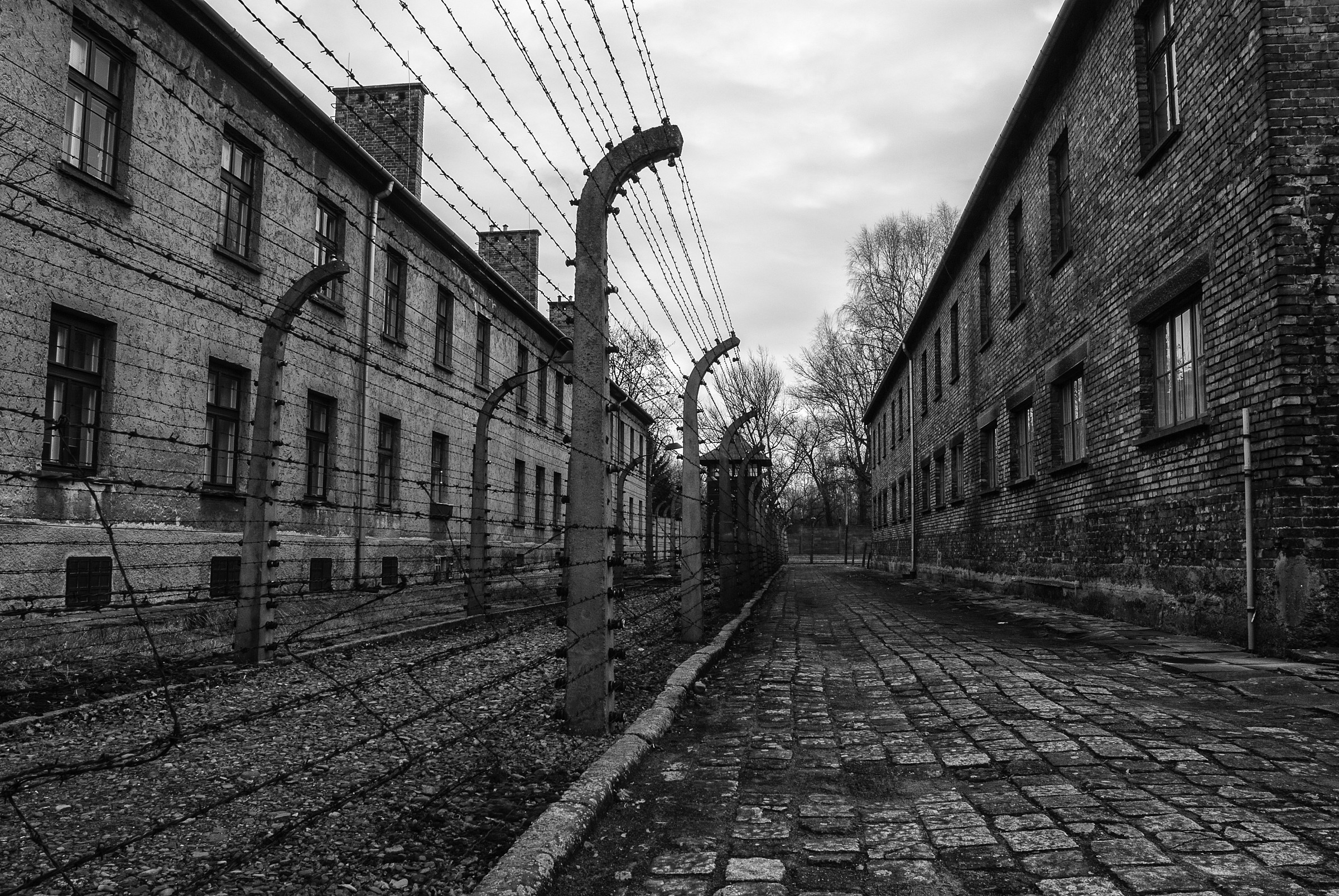 Auschwitz 07