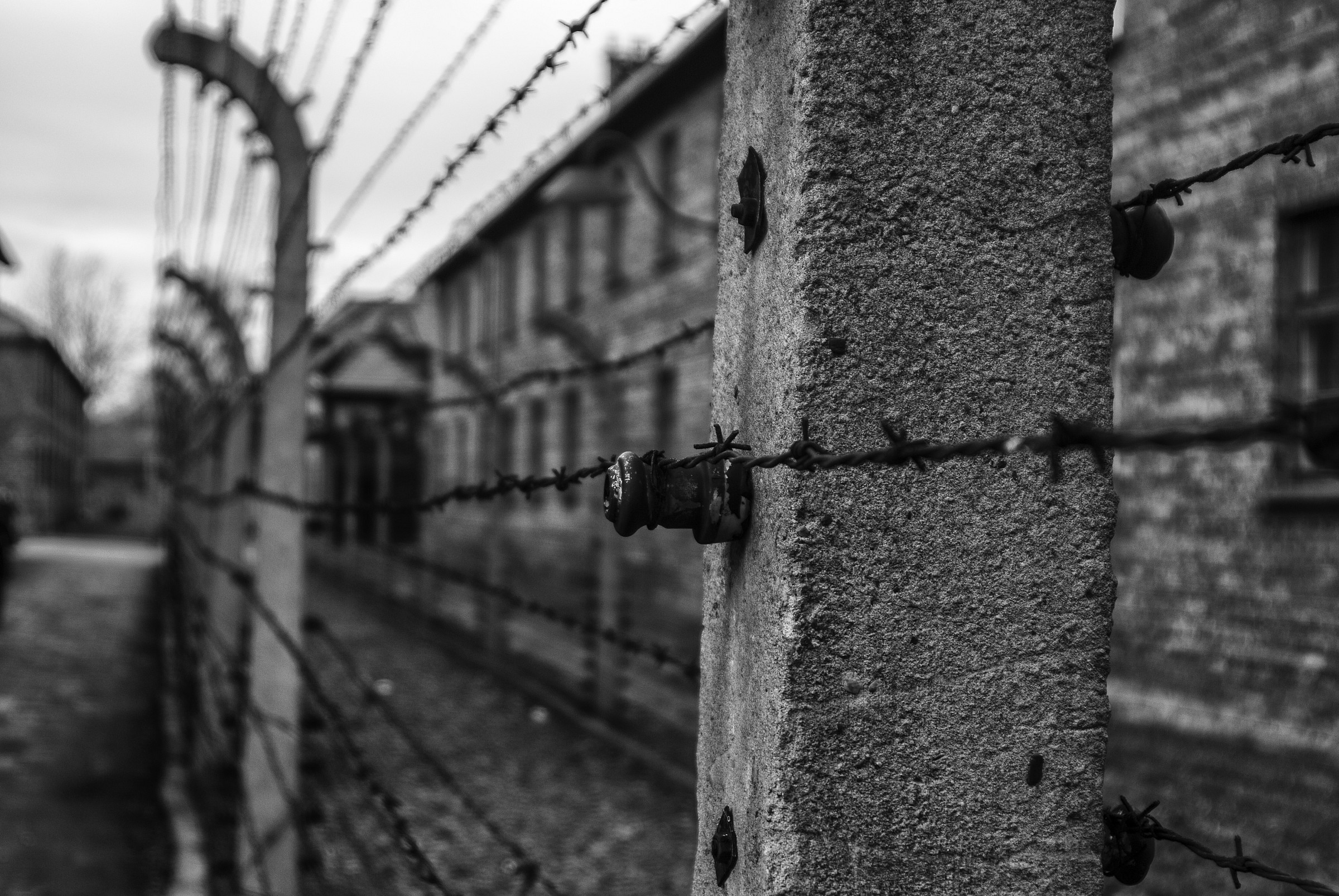 Auschwitz 08