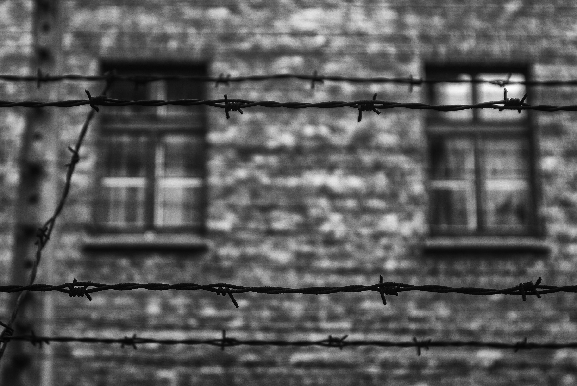 Auschwitz 09