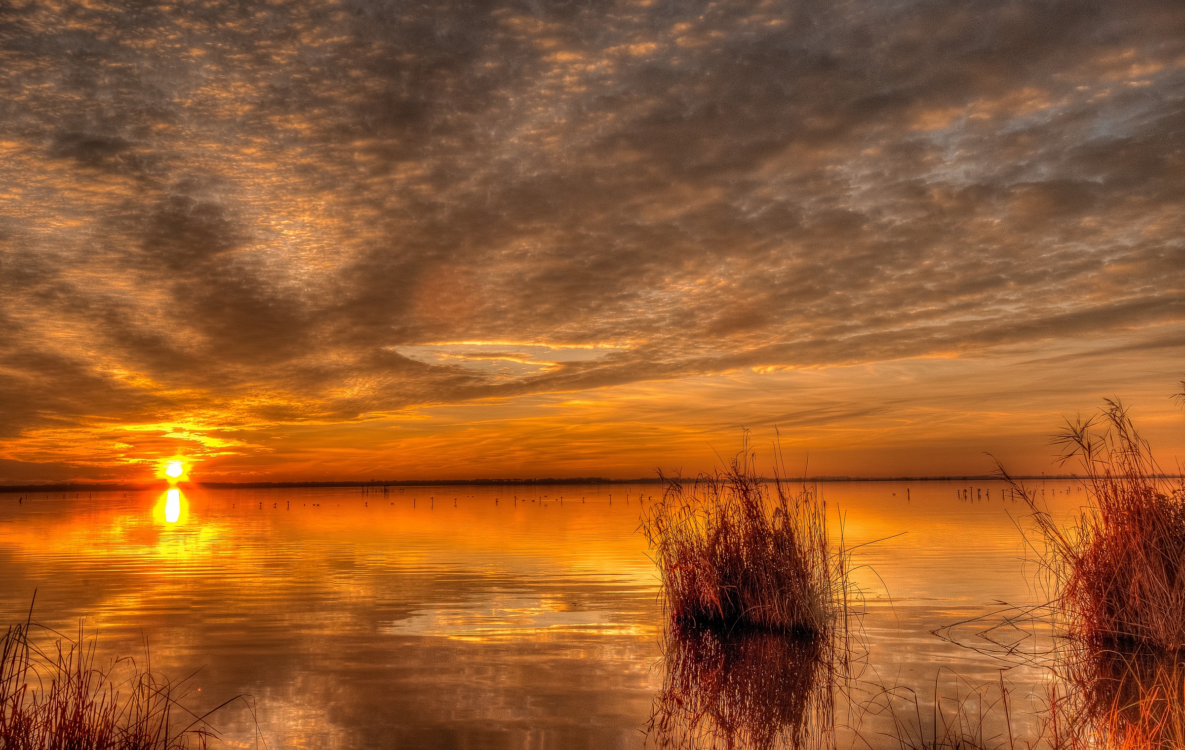 Lake Massaciuccoli-Lumen