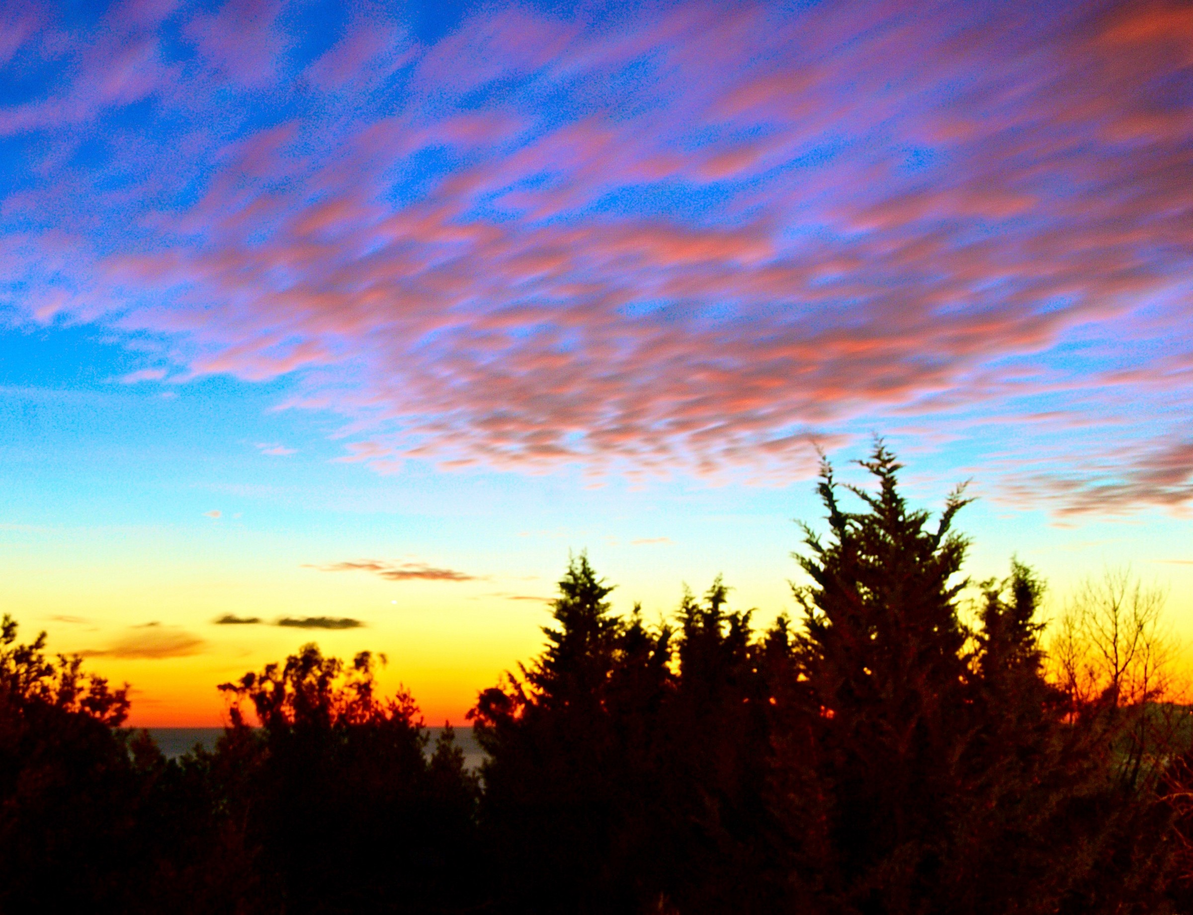 Clouds Chasing the trees