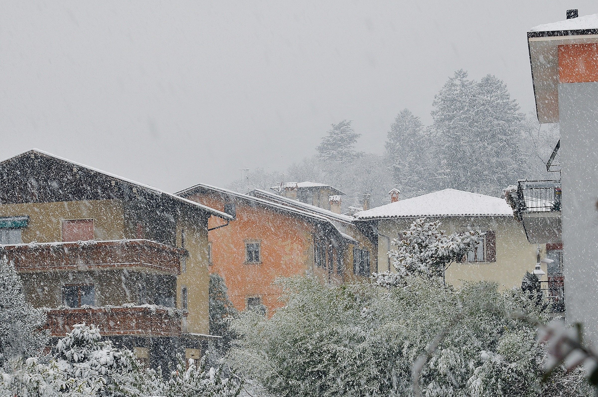 From the window of my house: snowfall