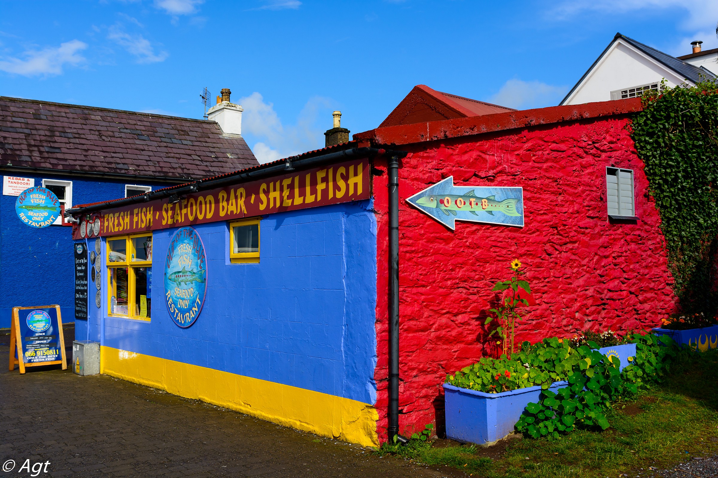 fresh fish for everyone ....