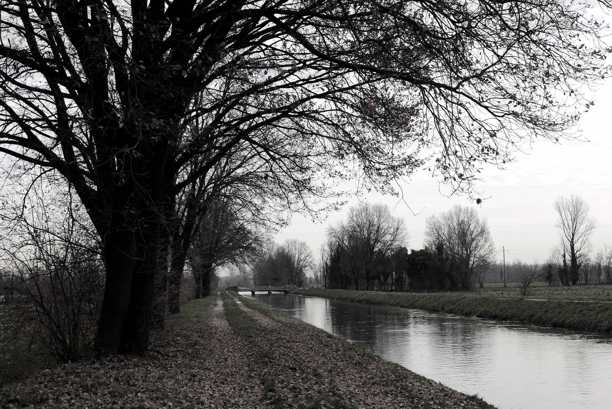 canale d'autunno