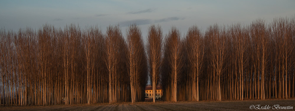 La casa oltre il bosco.