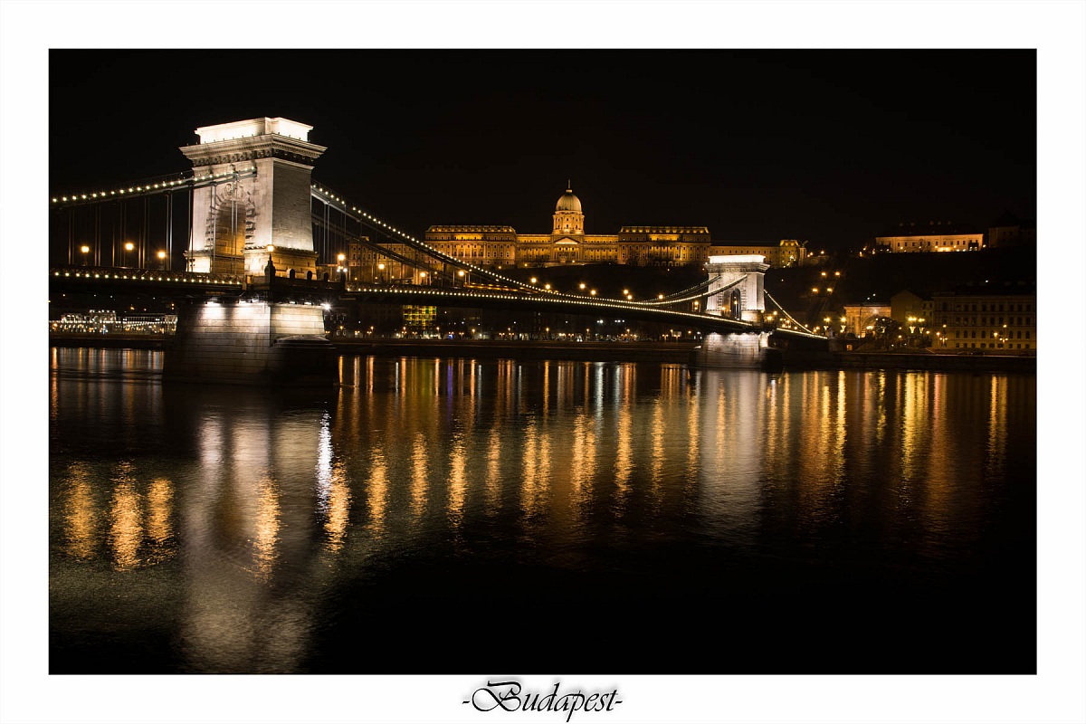 Visioni del Palazzo reale dal Danubio(Budapest)