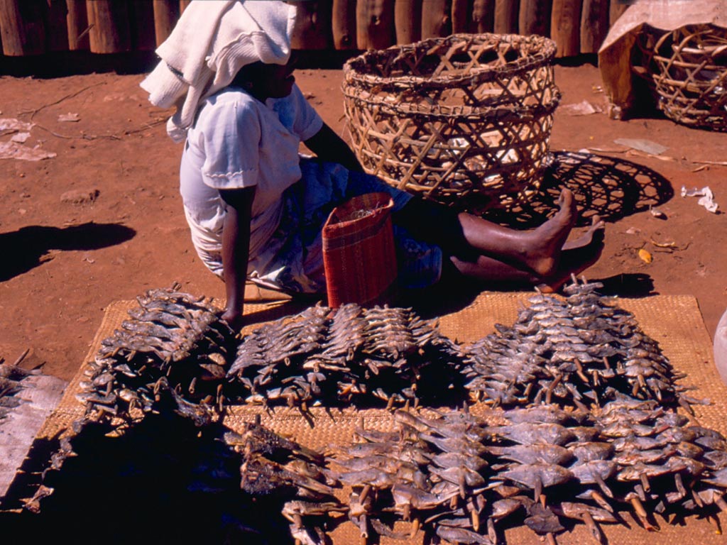 Market Madagascar
