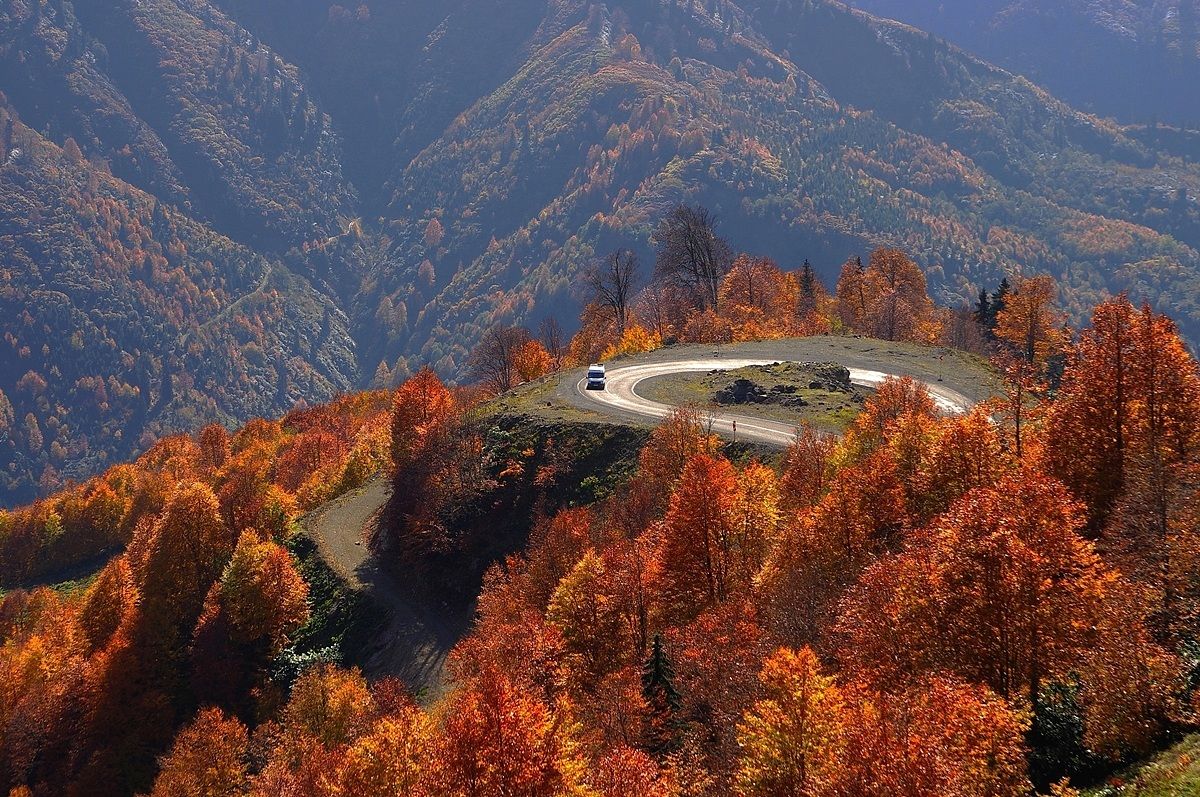 Macahel / Borcka  / Artv?n