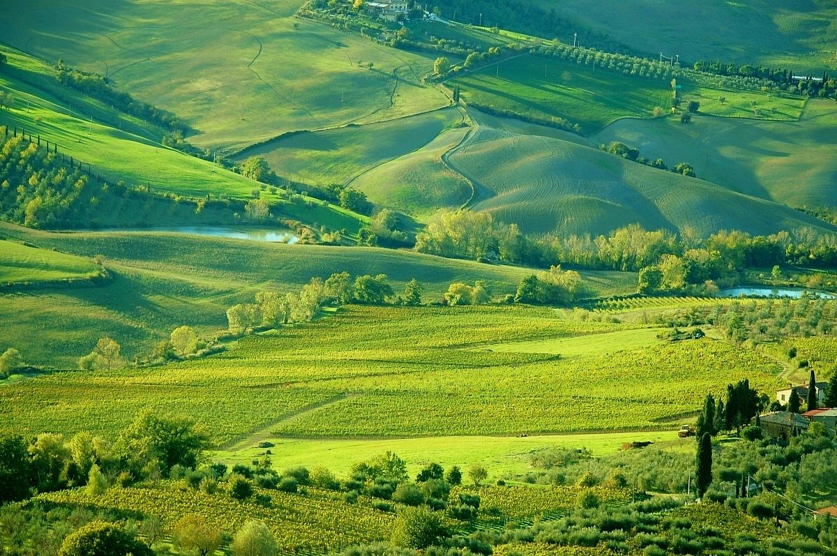 Fattoria Benedetti, San Quirico d'Orcia