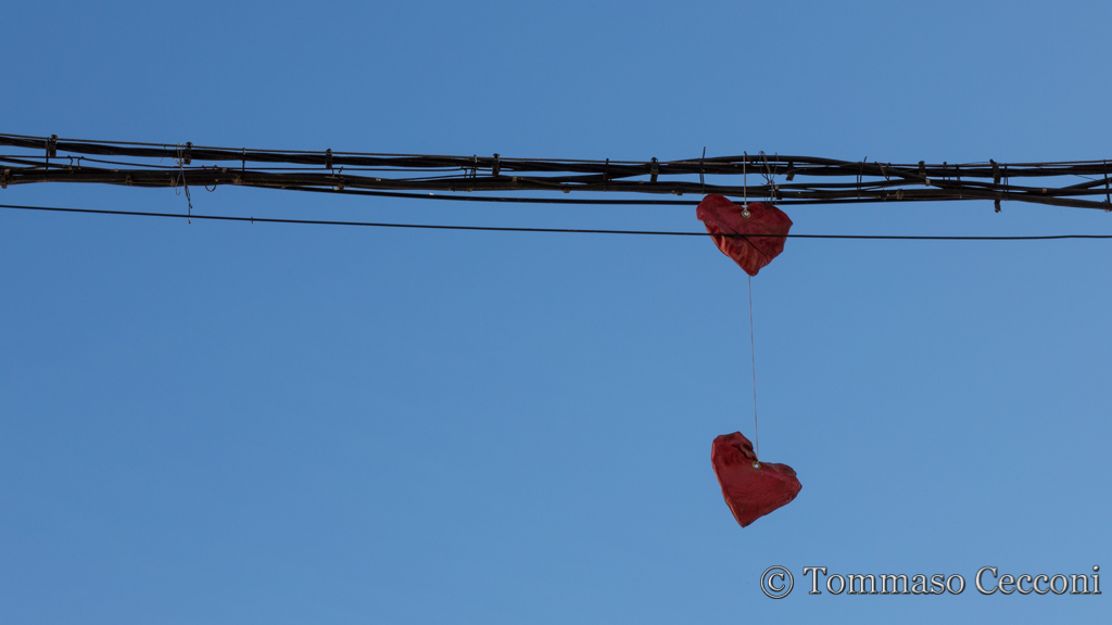 Love Is In Everything